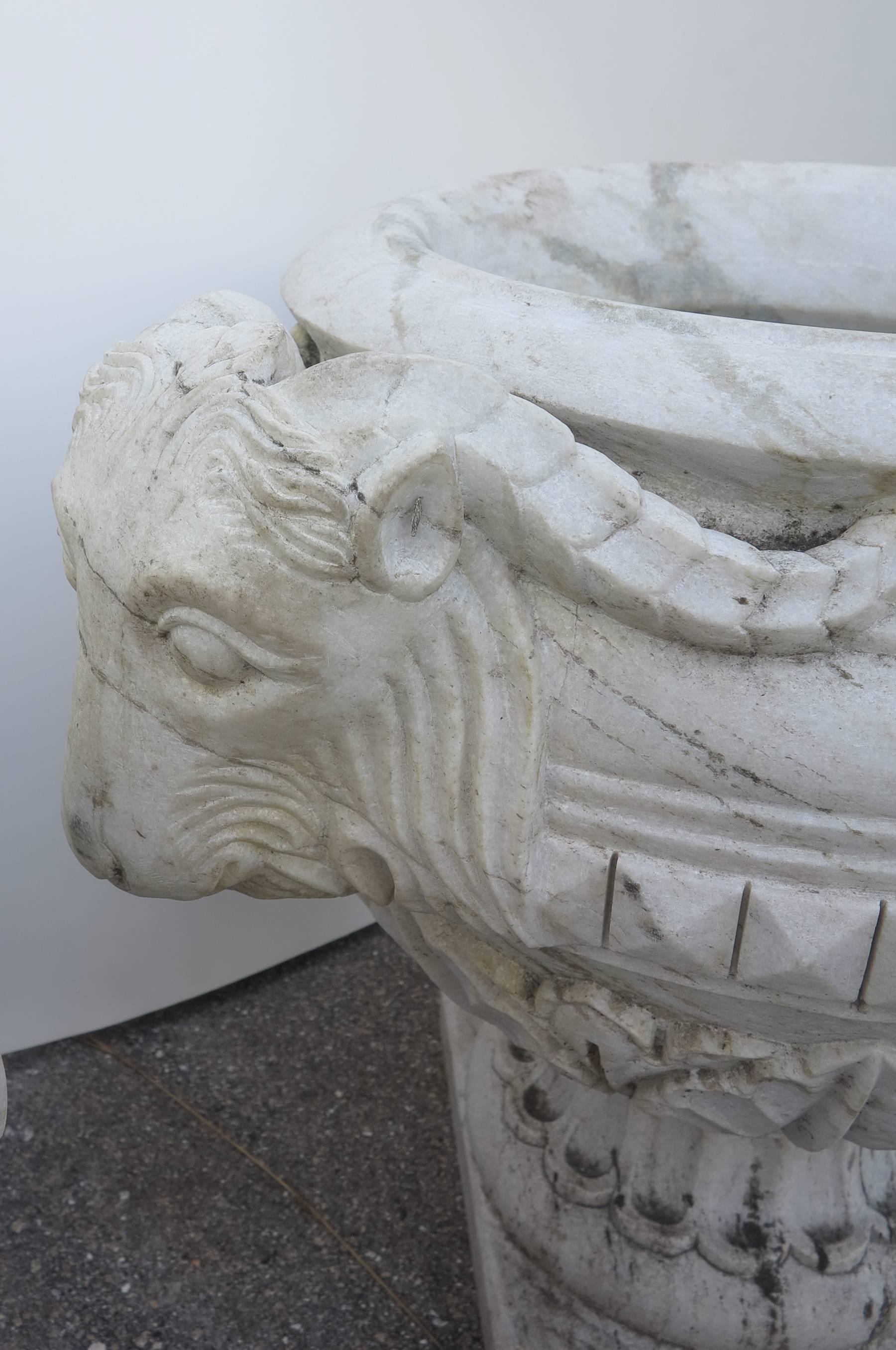 19th Century Large Carved Marble Ram Head Urns Planters 1