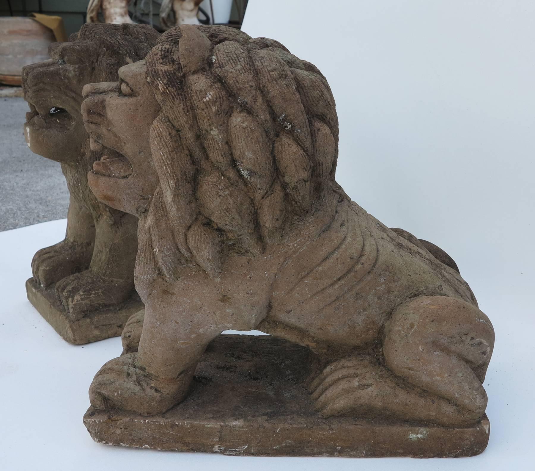 Cast Cement Petite Lions with Terra Cotta Finish In Excellent Condition In West Palm Beach, FL