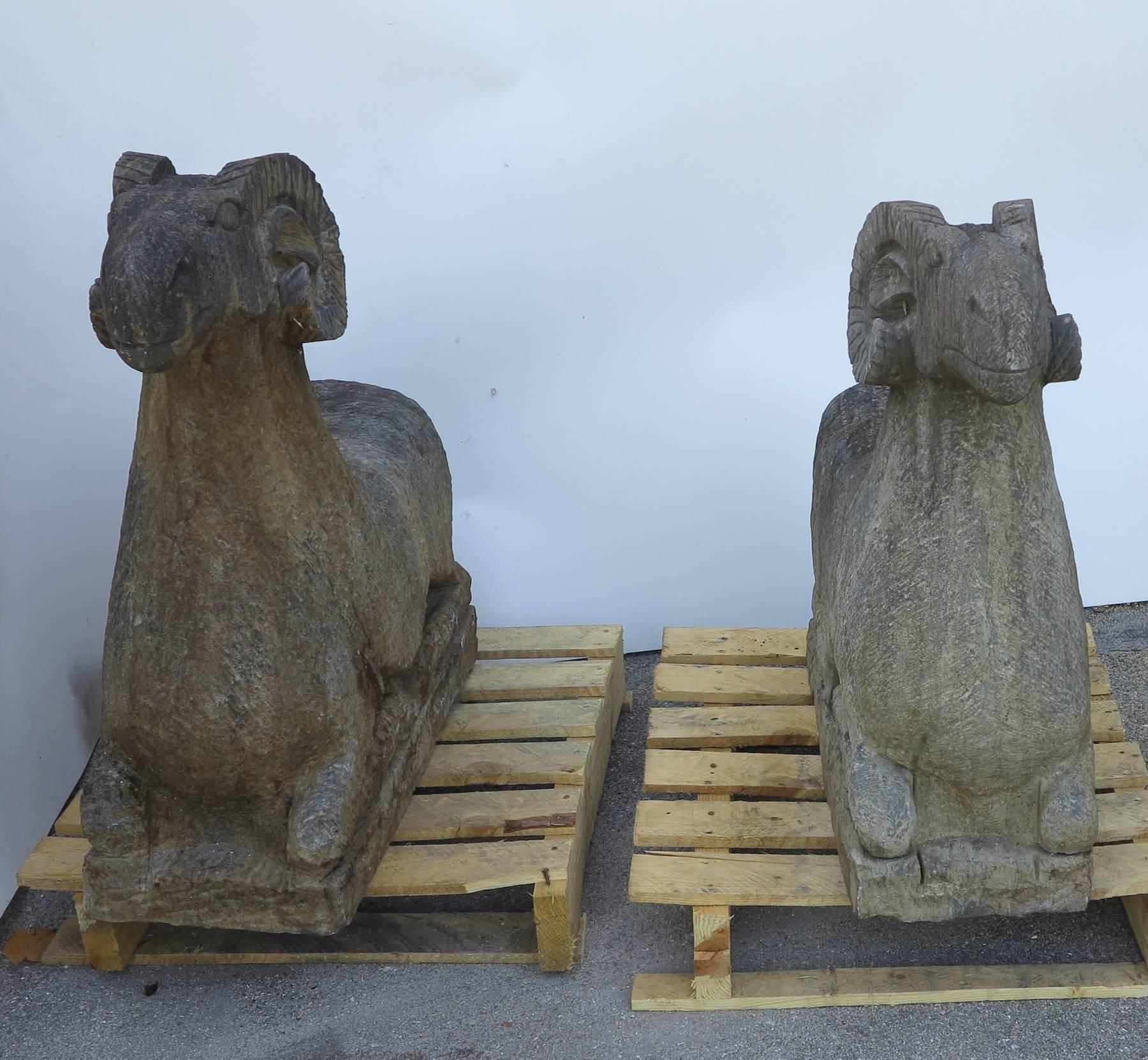Pair of hand-carved stone ram temple entry statues. Well defined carving large size 22 wide 8 deep 26 inches high.