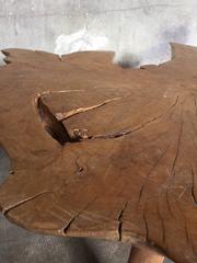 1950 Root Coffee Table