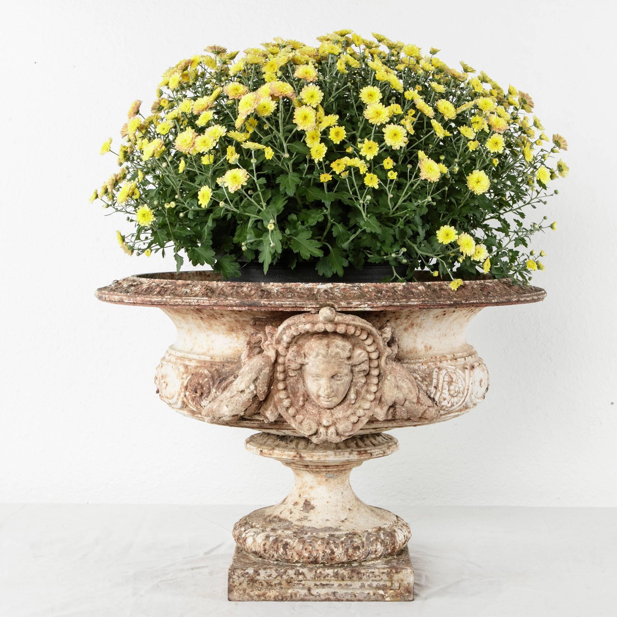Grand Scale 18th Century French Cast Iron and Stone Urn with Neoclassical Faces In Good Condition In Fayetteville, AR