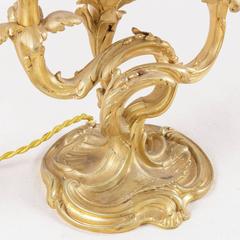 19th Century French Gilt Bronze Louis XV Style Candelabra Transformed Lamp