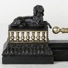 19th Century Napoleon III Iron and Brass Fireplace Fender with Dogs