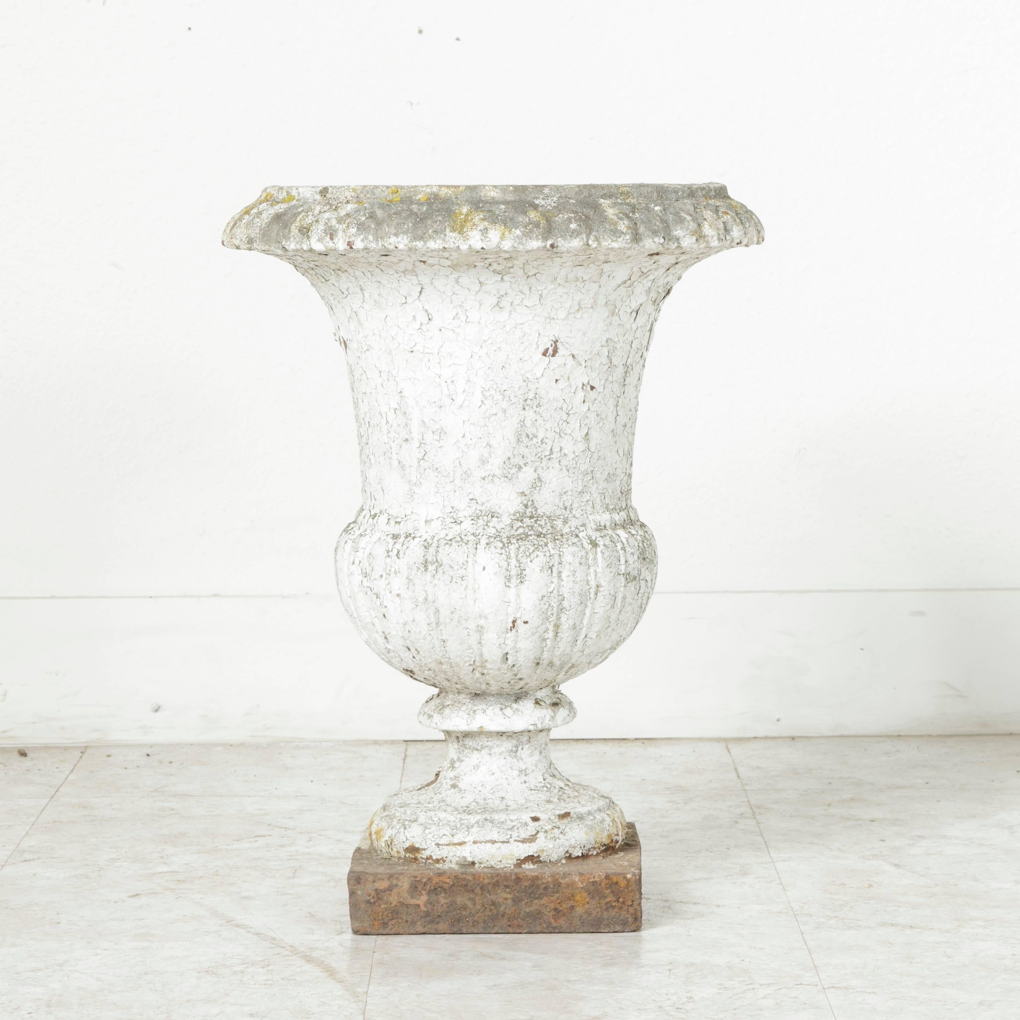 Known as a Versailles urn due to its extensive use in the renowned gardens of the Chateau de Versailles, this 18th century cast iron planter from a Normandy manor house retains its naturally aging white paint, giving it a fabulous look. A Classic