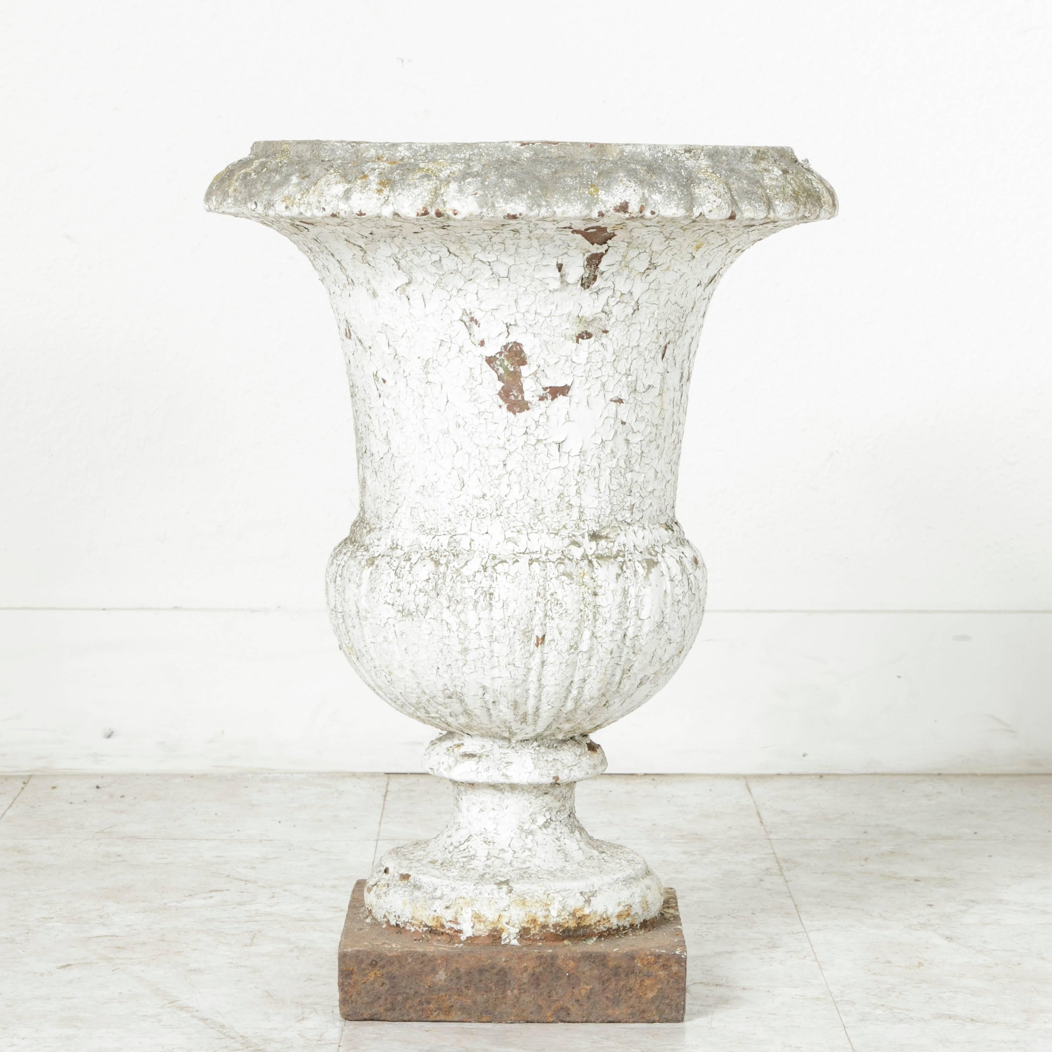 18th Century Cast Iron Classic French Versailles Urn, Planter, Jardinière In Good Condition In Fayetteville, AR