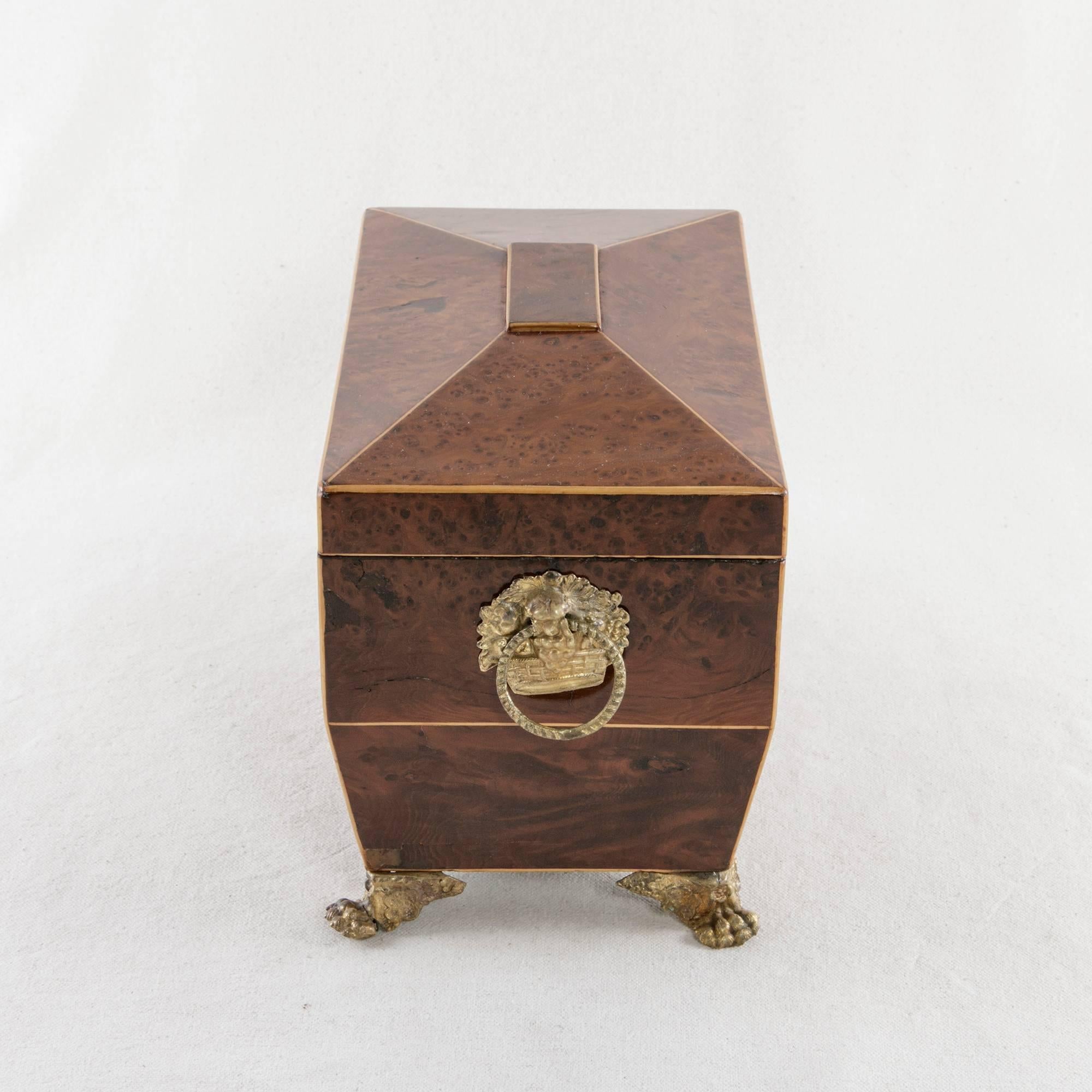 French Directoire Period Thuya Wood Tea Box with Lemonwood Inlay and Bronze Feet 1