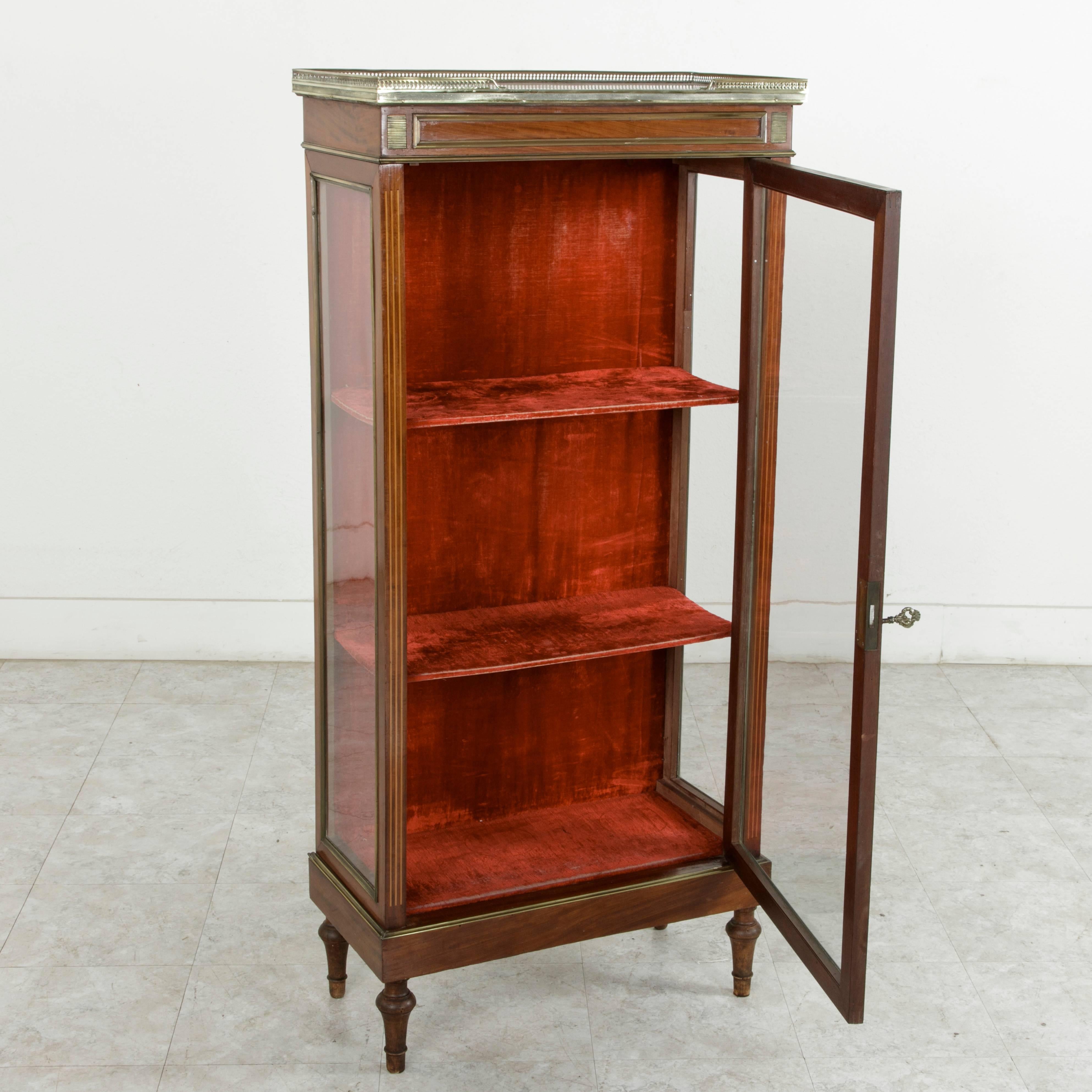 19th Century French Louis XVI Mahogany and Bronze Vitrine, Display Cabinet, Case In Excellent Condition In Fayetteville, AR