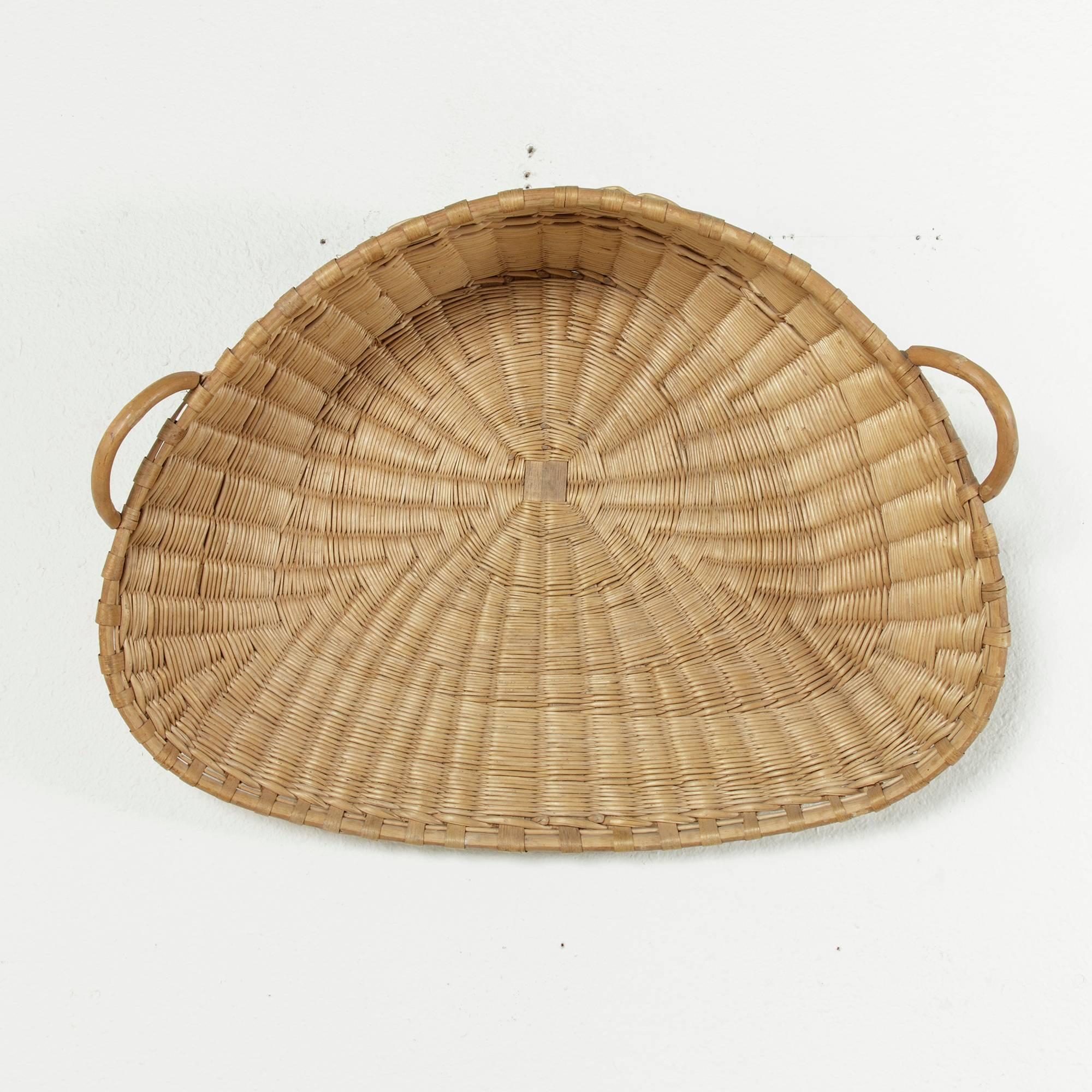 Large 19th Century French Winnowing Basket or Three Dimensional Wall Art 1