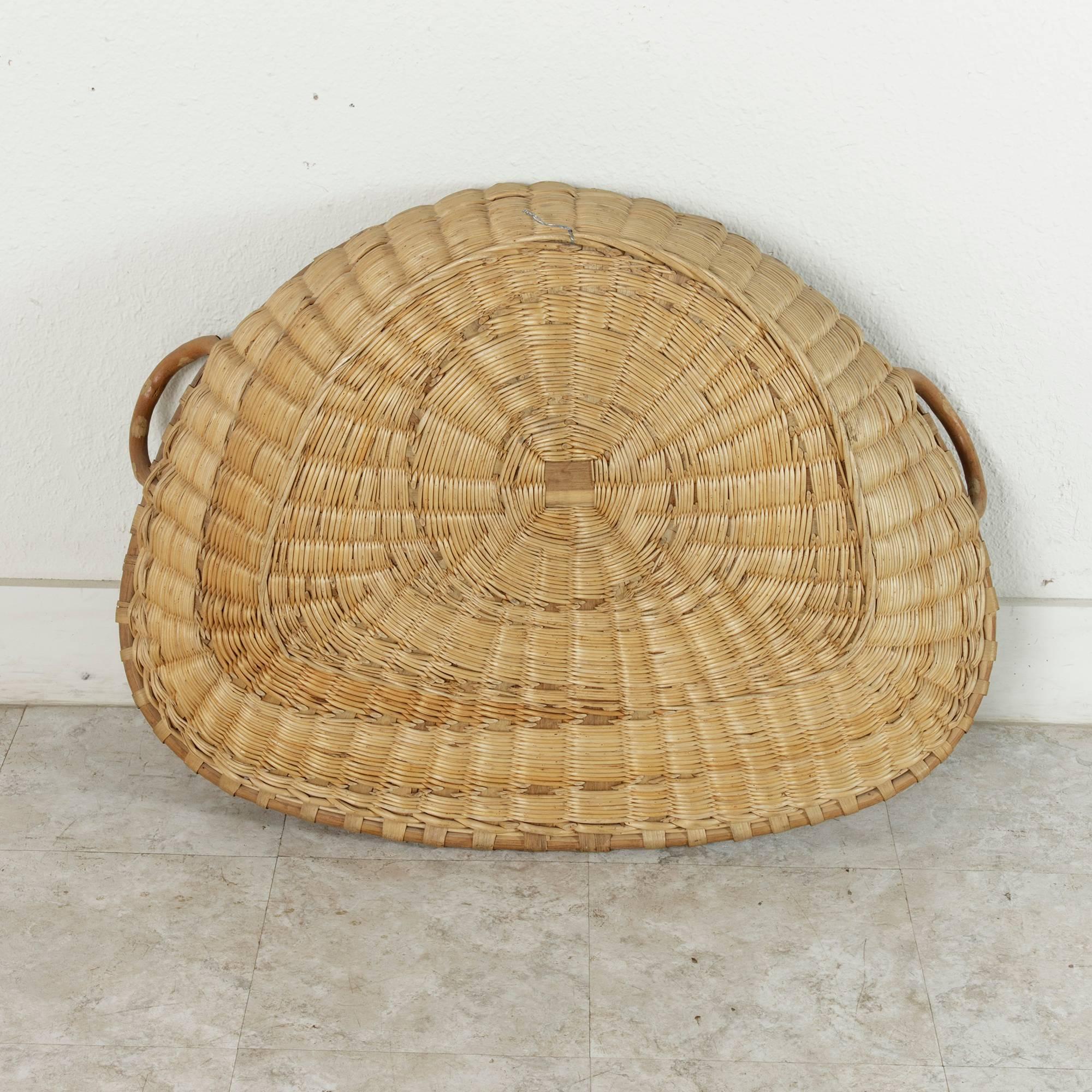 Large 19th Century French Winnowing Basket or Three Dimensional Wall Art 2