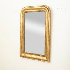 Mid-19th Century French Louis Philippe Period Gilt Wood Mirror