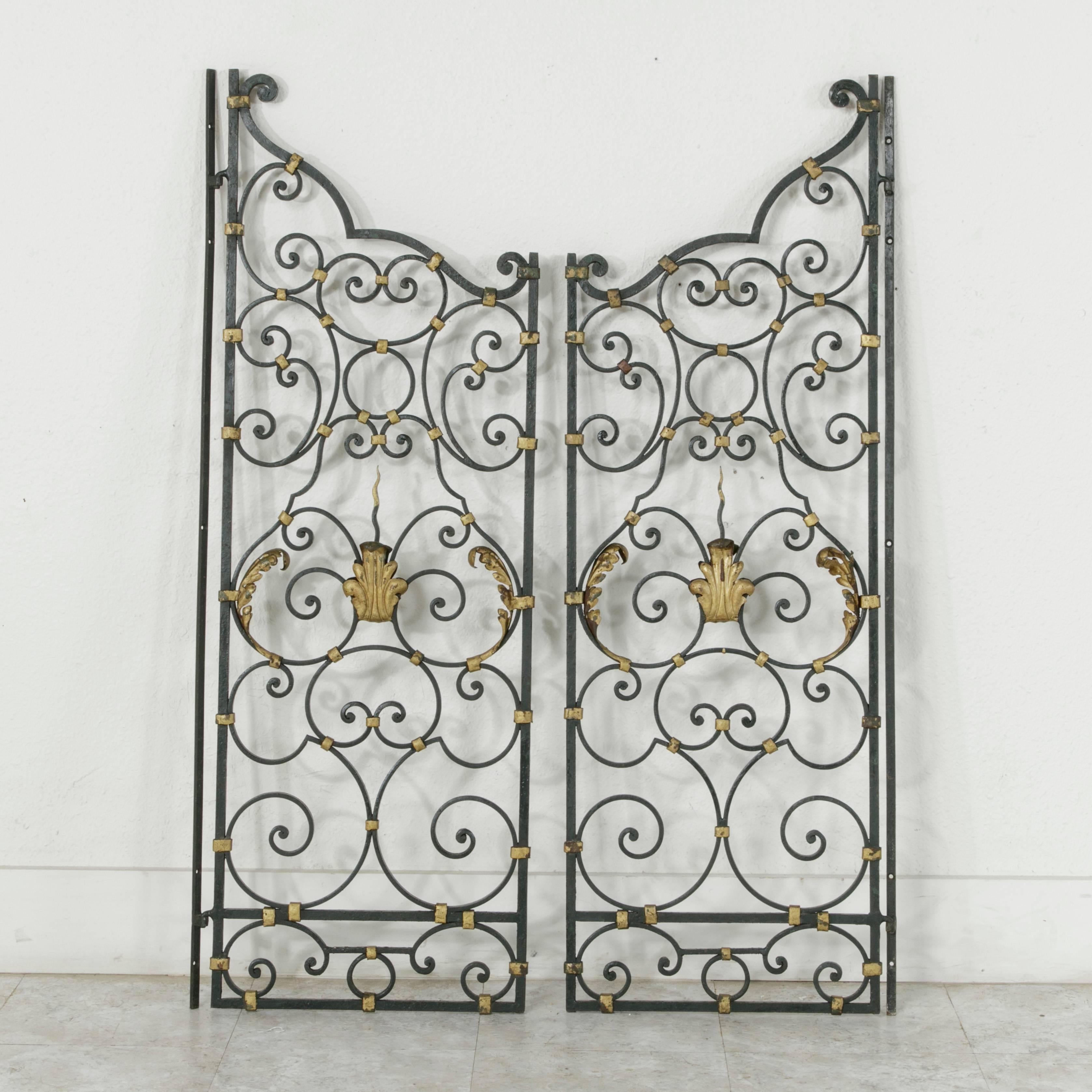 Exuding elegance and mastery of the craft of the iron worker, this pair of 19th century hand-forged iron gates with gold detailed banding is double faced with gilt acanthus leaves. Ready to make an impressive entryway into the garden, these gates