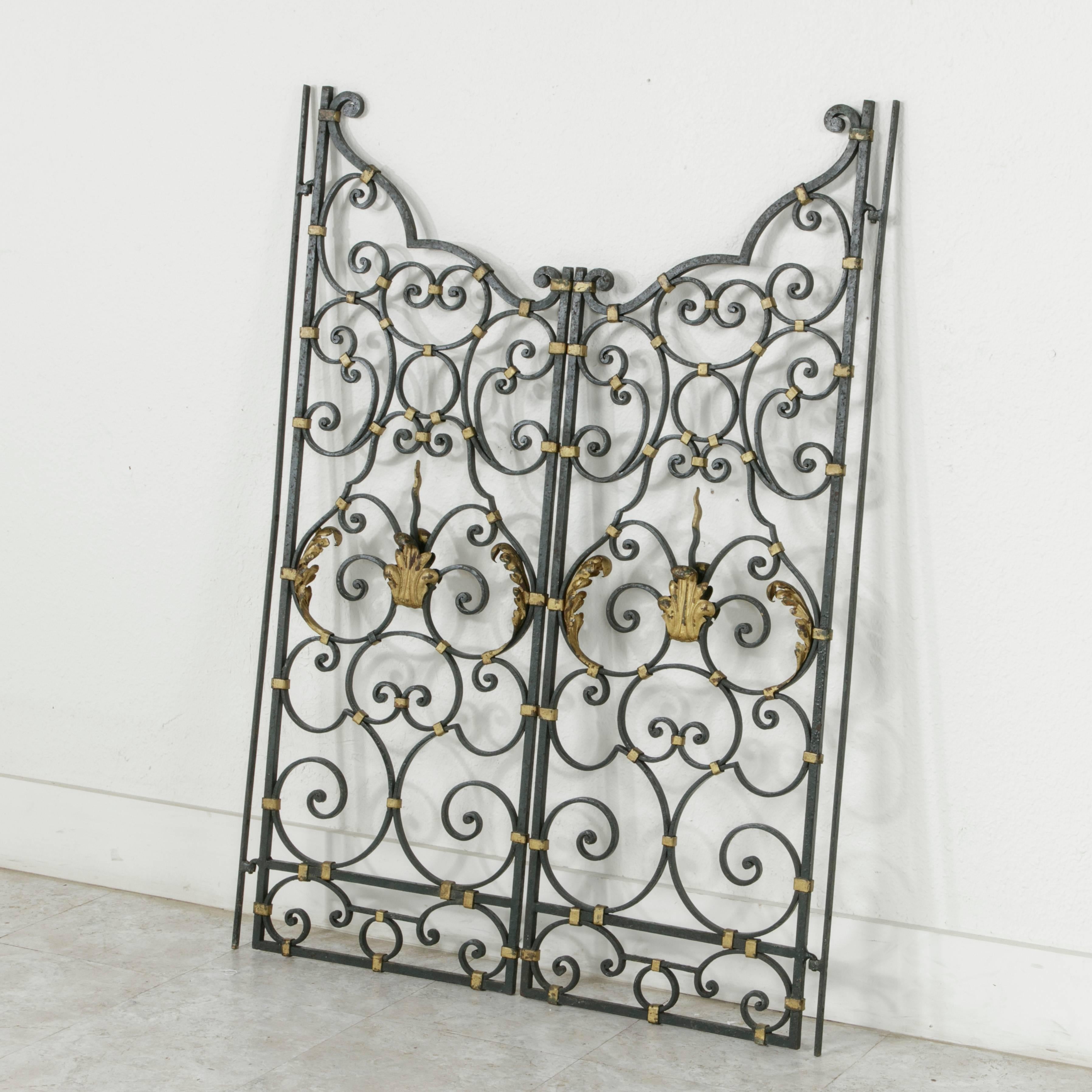 19th Century French Hand-Forged Double Faced Iron Gates Gold Detailing Acanthus In Excellent Condition In Fayetteville, AR