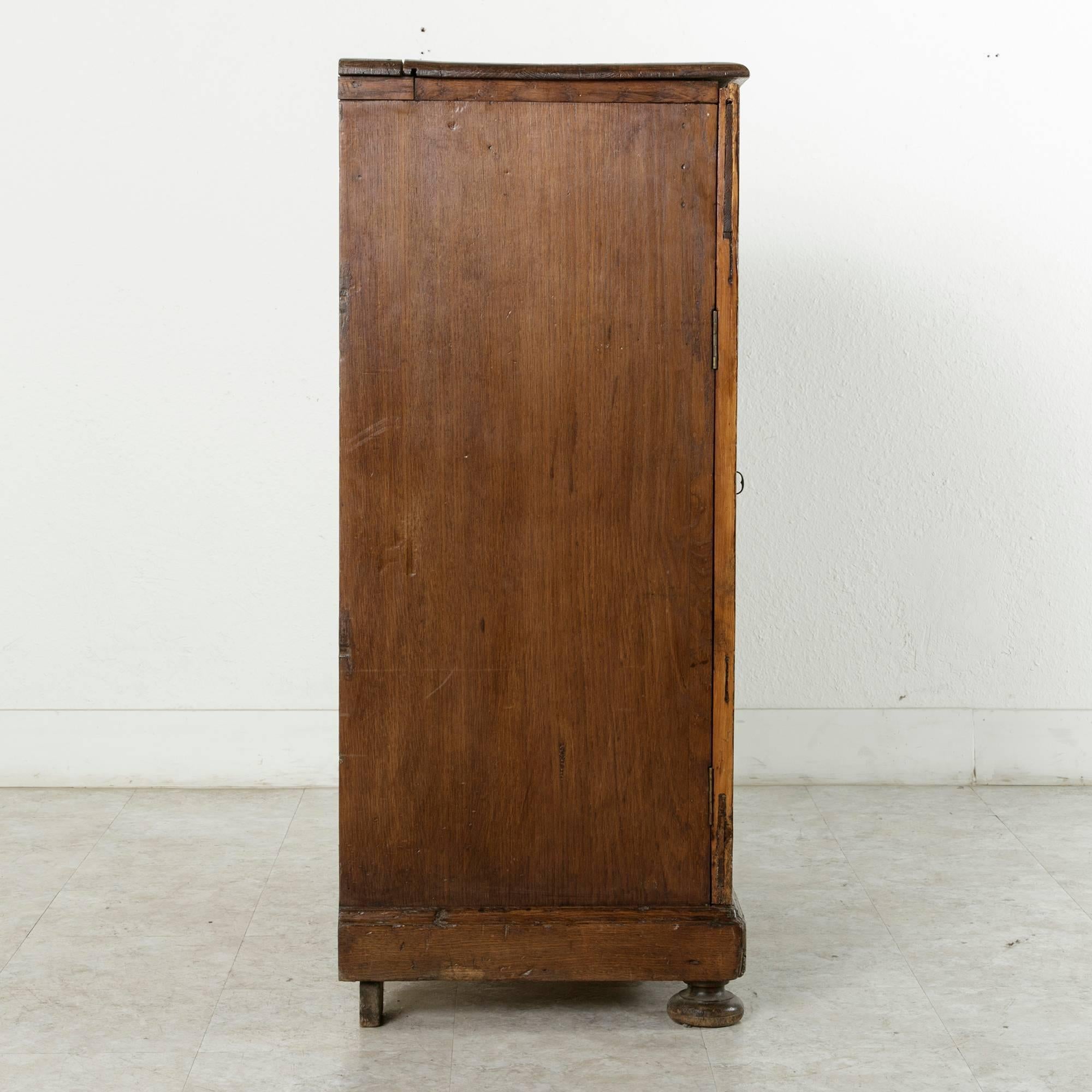 19th Century French Hand-Carved Pine and Oak Rustic Vitrine or Display Cabinet 1