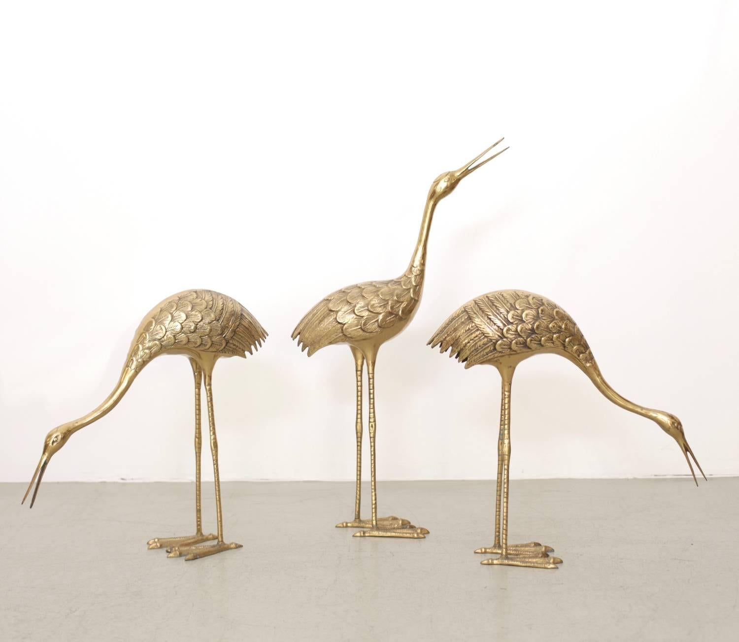 Extraordinary huge set of three flamingos or cranes made of brass. They are in very good condition and they bring the Hollywood Regency glamour in every room.

