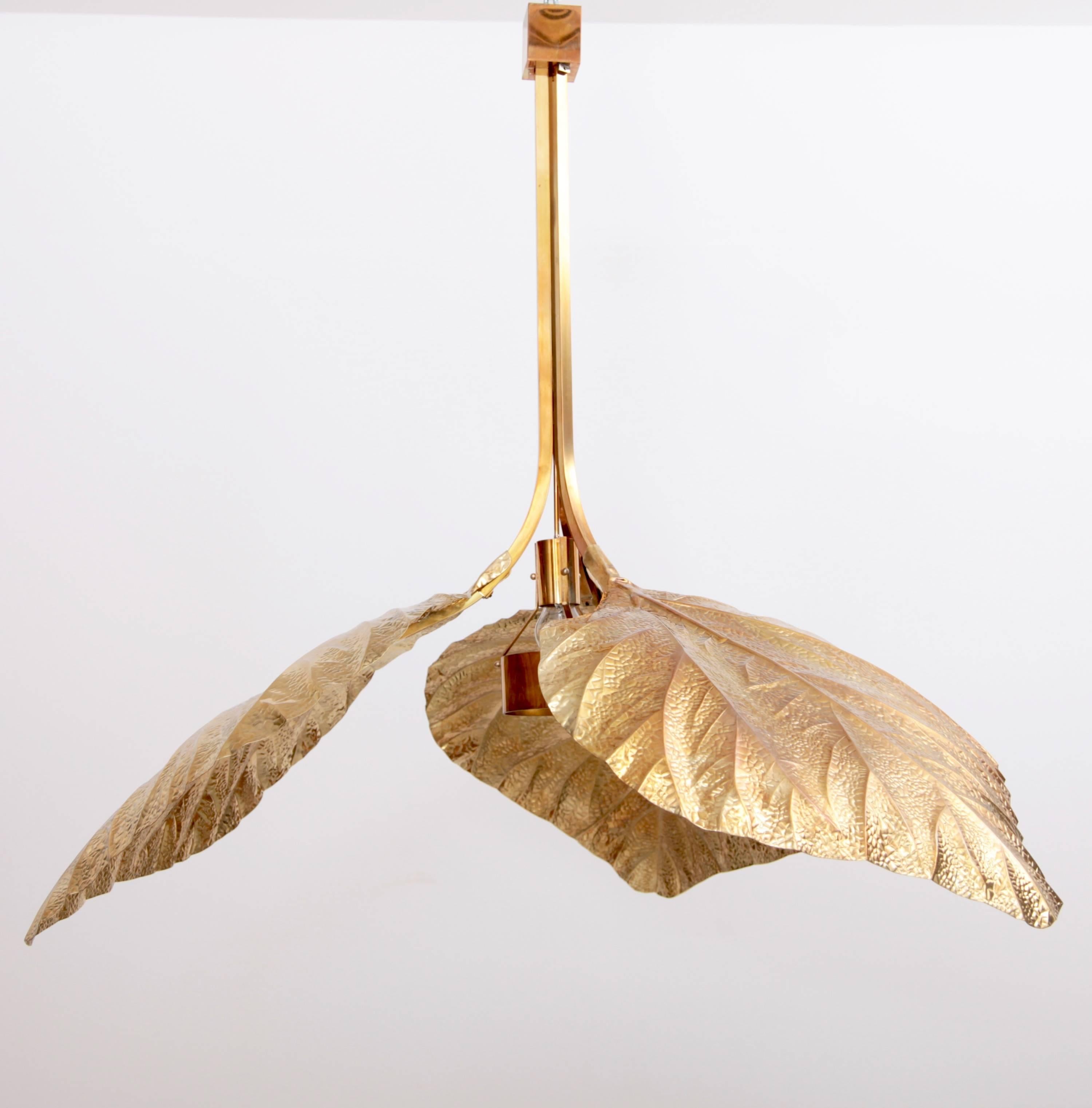 Rare huge rhubarb leaf chandelier by the Italian designer Tommaso Barbi. The chandelier is made of brass and the reflexion of the light on the brass brings a cozy atmosphere in every room. The chandelier is very hard to find and a real collectors