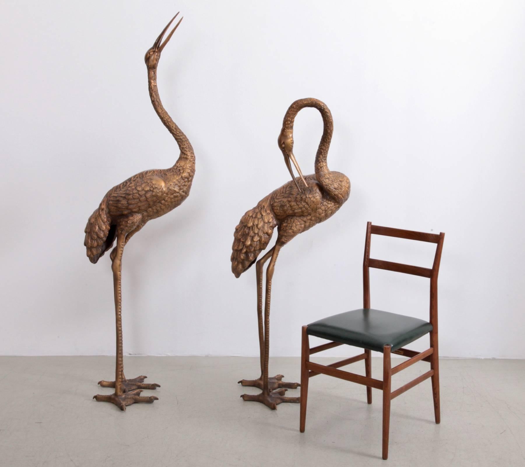 Large pair of brass 5.5ft cranes in excellent condition with a nice patina. They are in very good condition and they bring the Hollywood Regency glamour in every room. It´s almost impossible to find the sculptures in such a size.

