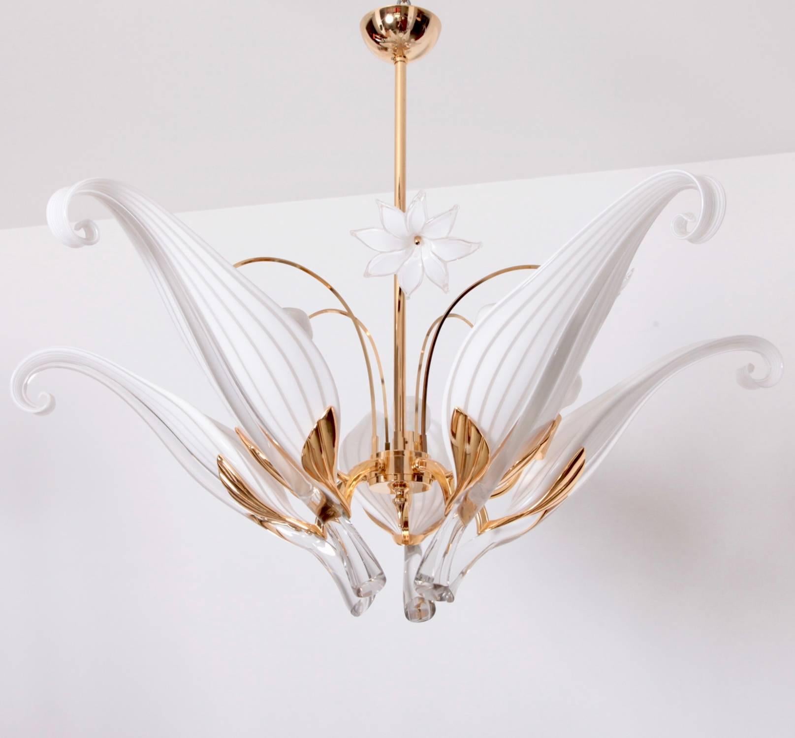 This impressive Italian chandelier, by Franco Luce, produced, circa 1970s, features five handblown white Murano glass curled leaves, each rendered through Sommerso technique and individually set in holders, supported by a brass frame; each glass