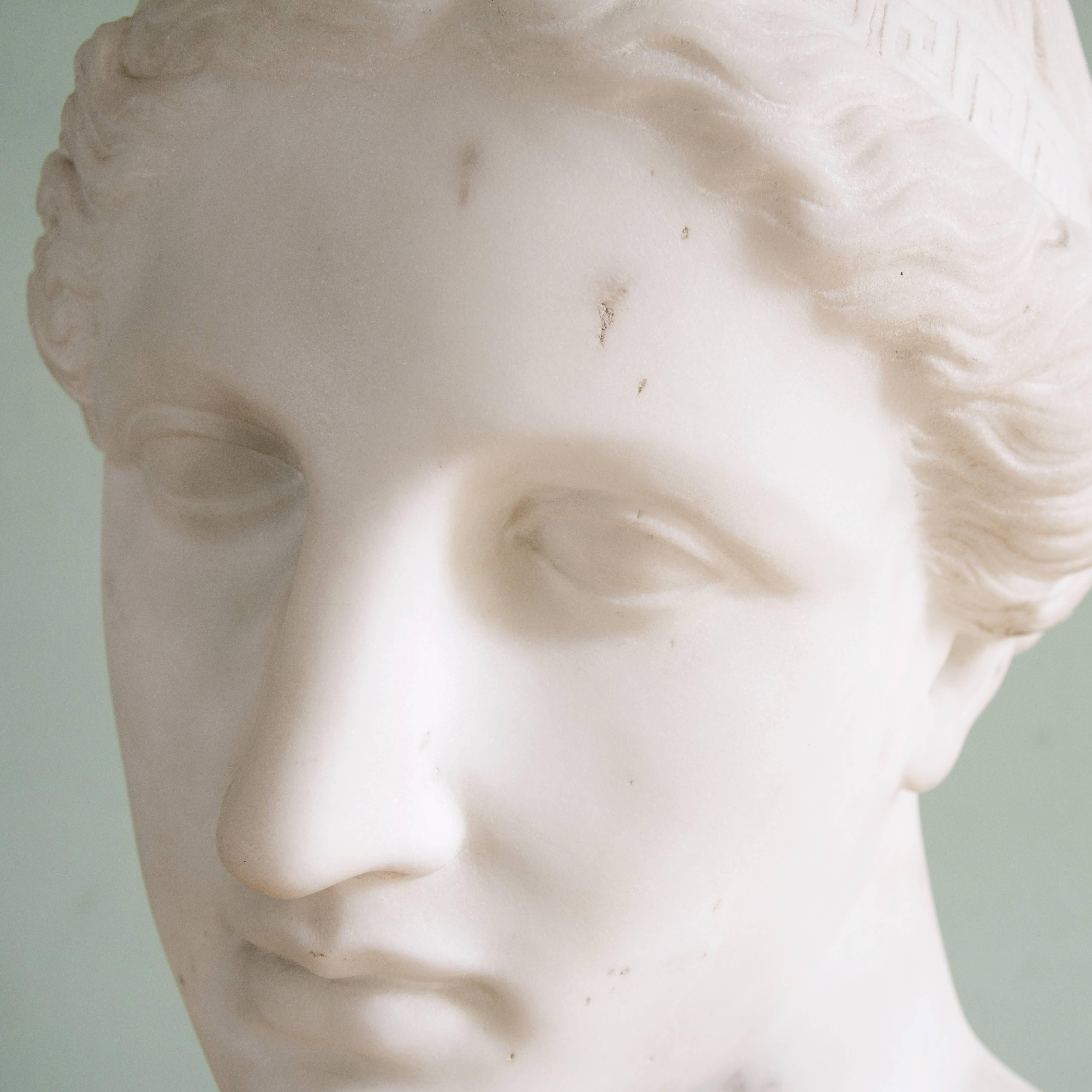 Carrara Marble 19th Century Marble Bust of Venus