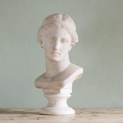 19th Century Marble Bust of Venus