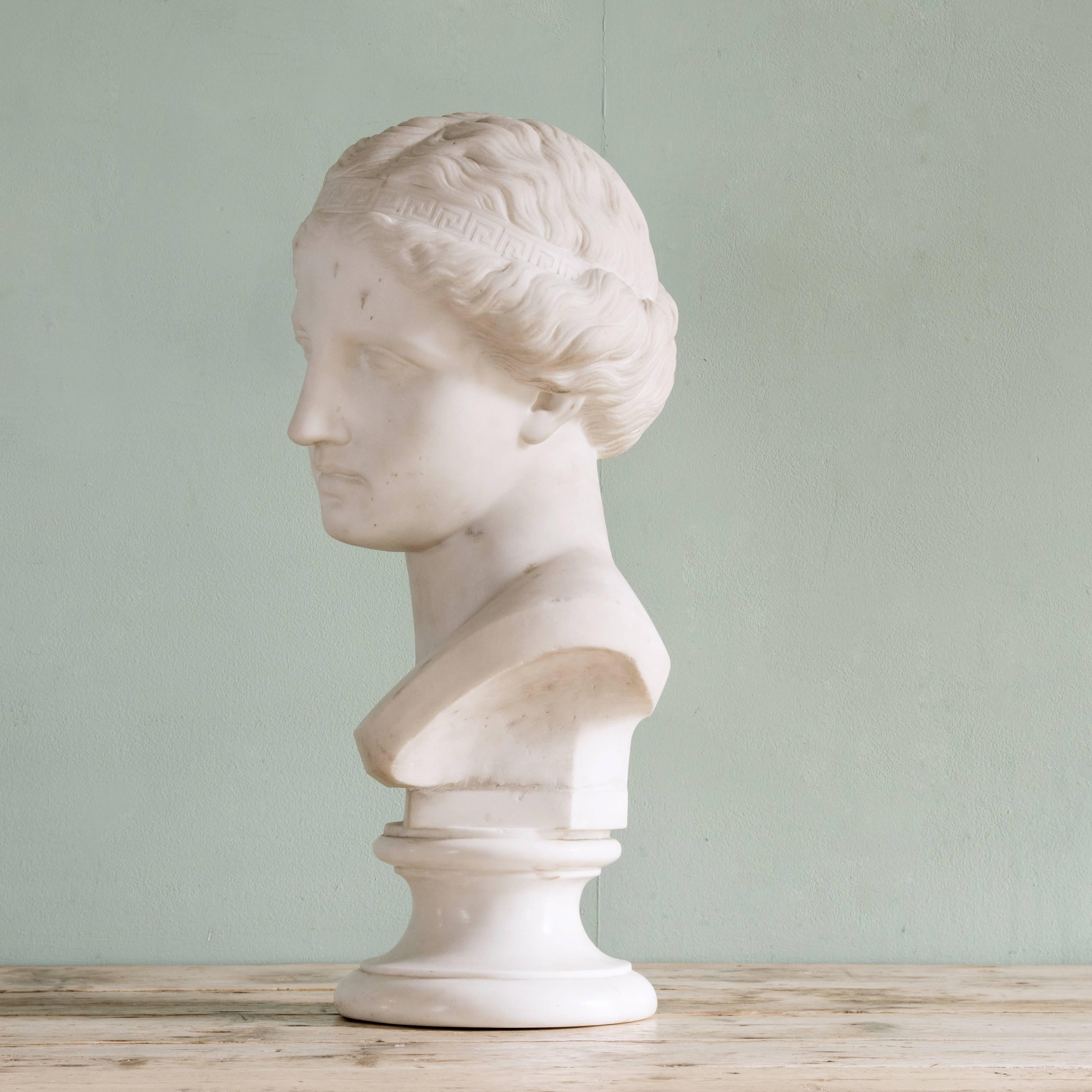 Classical Roman 19th Century Marble Bust of Venus