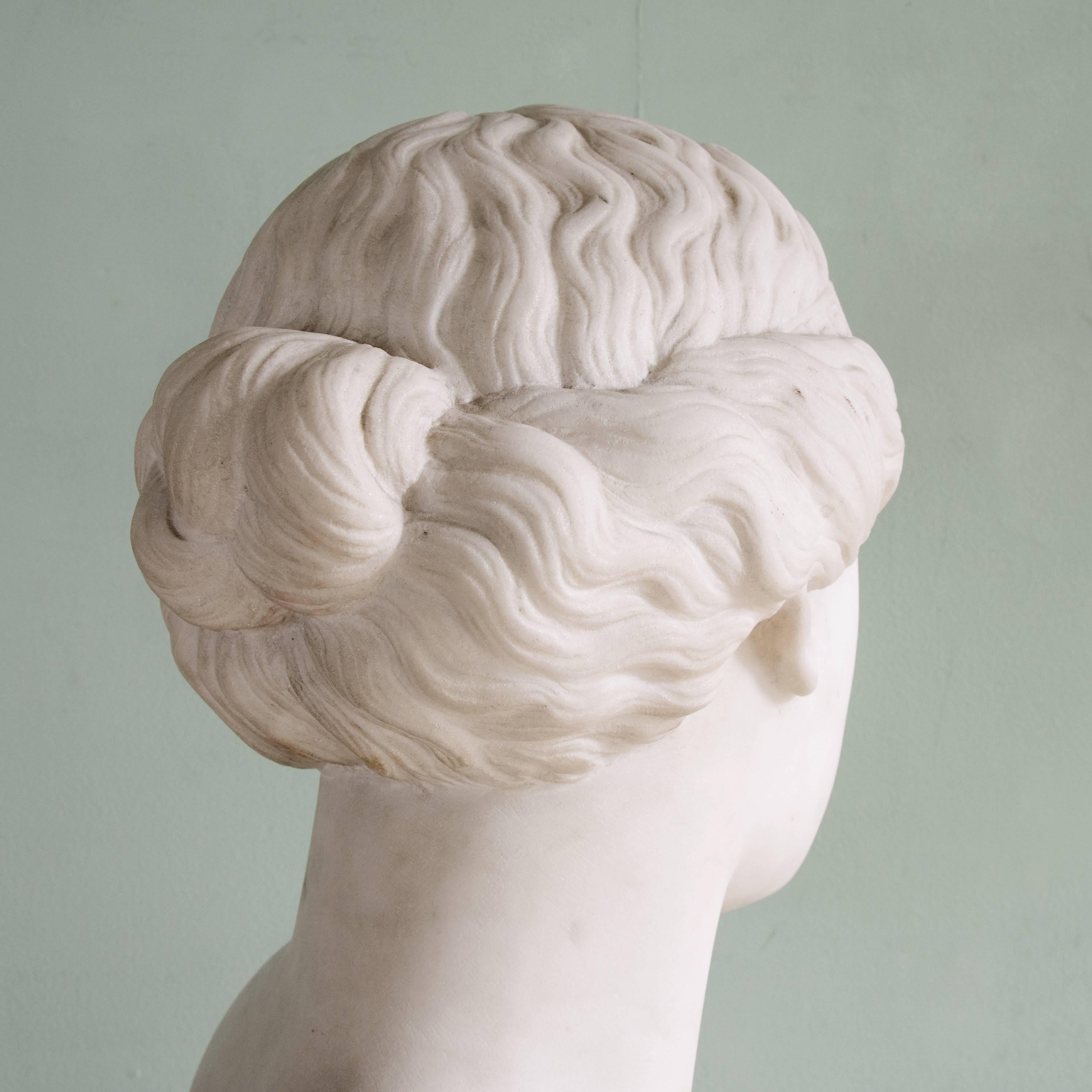 19th Century Marble Bust of Venus 3