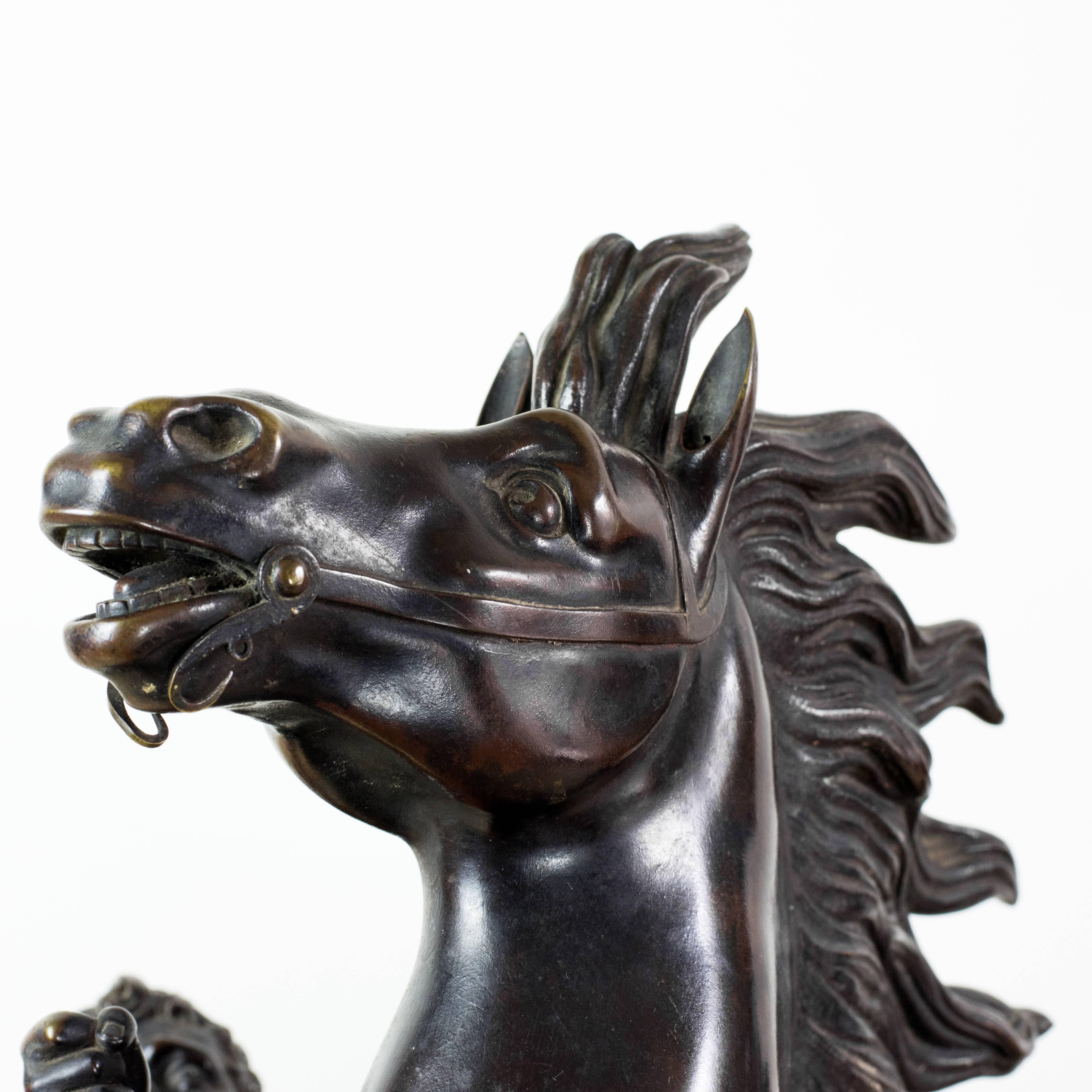 Paire de chevaux de Marly en bronze 3