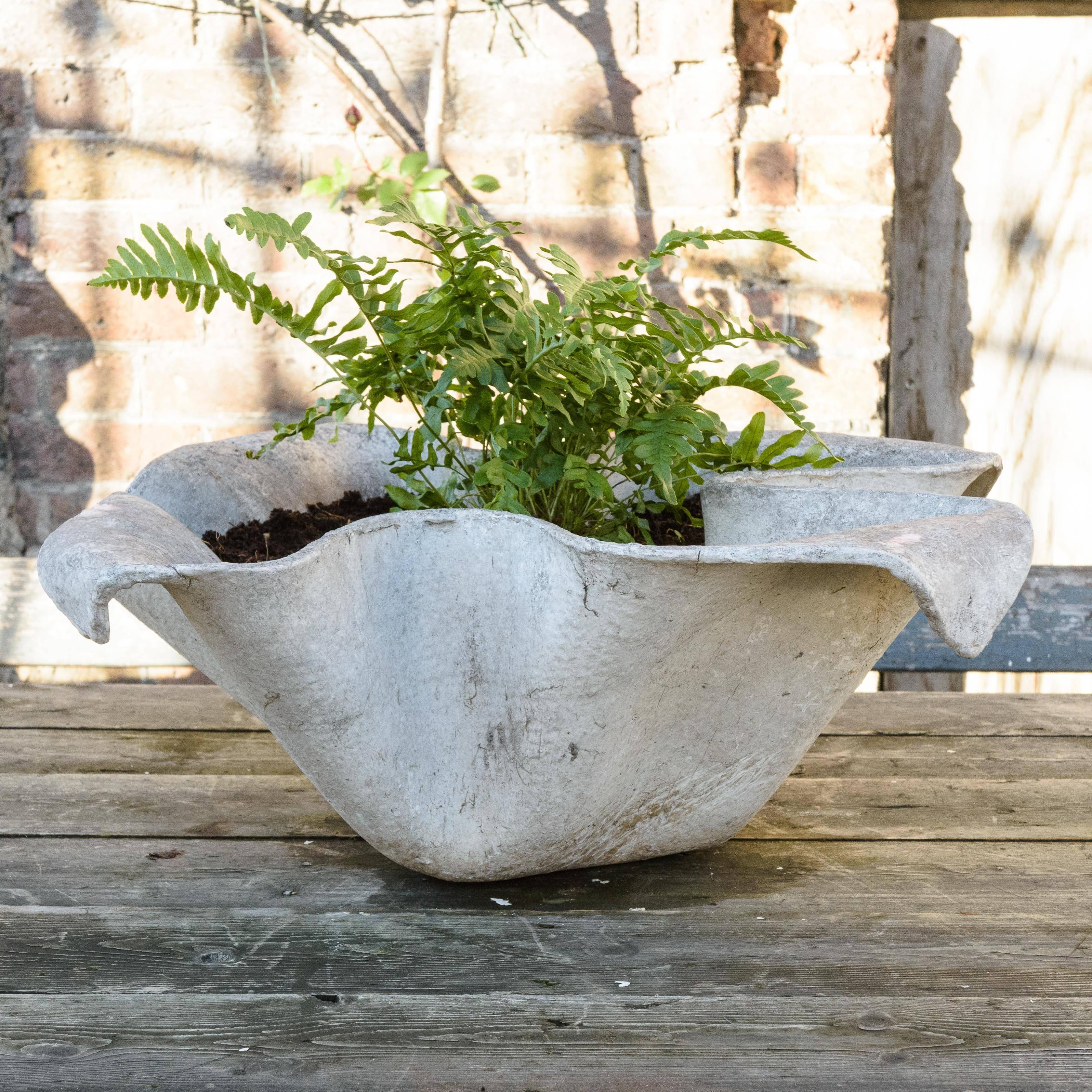 A Willy Guhl elephant ear planter. Swiss 1950s, manufactured by Eternit.