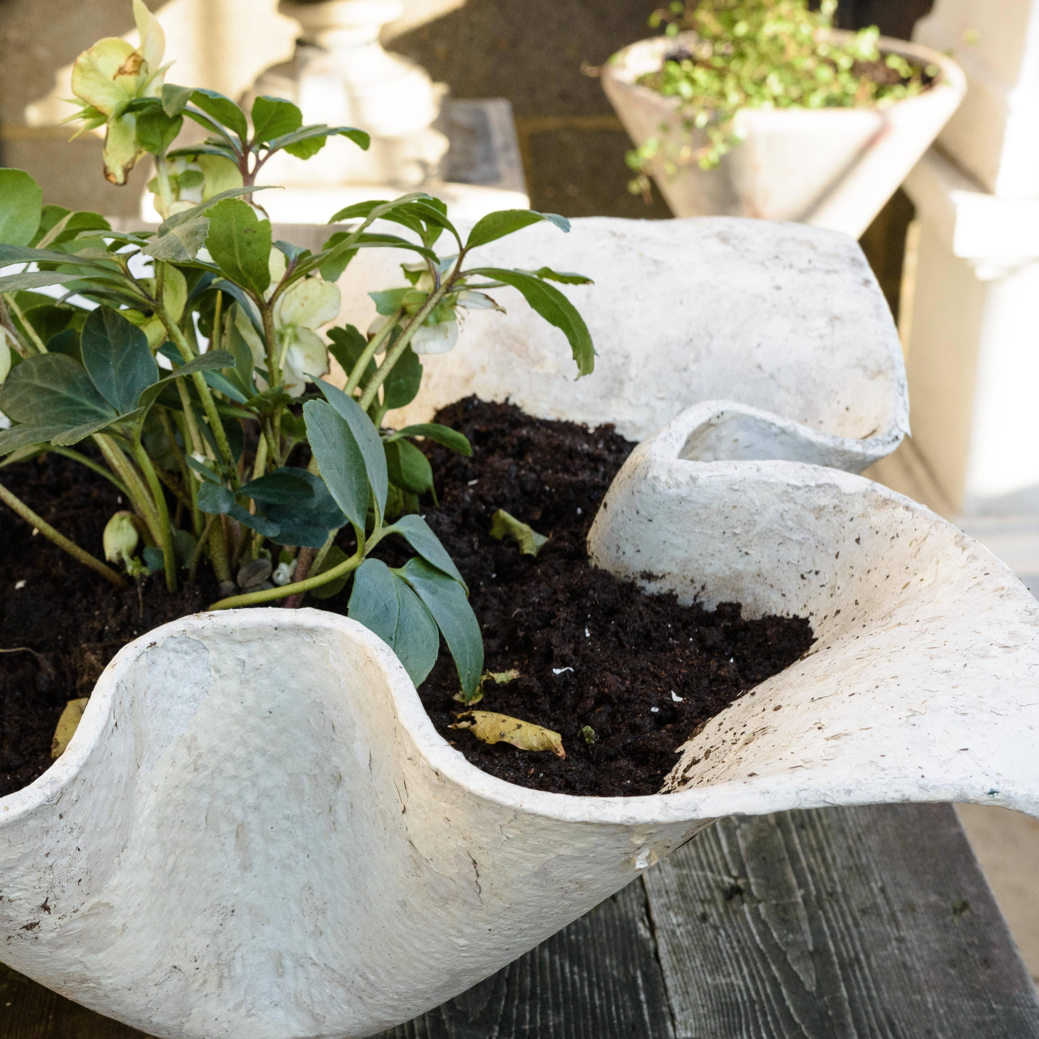 Mid-20th Century Willy Guhl Handkerchief Planter