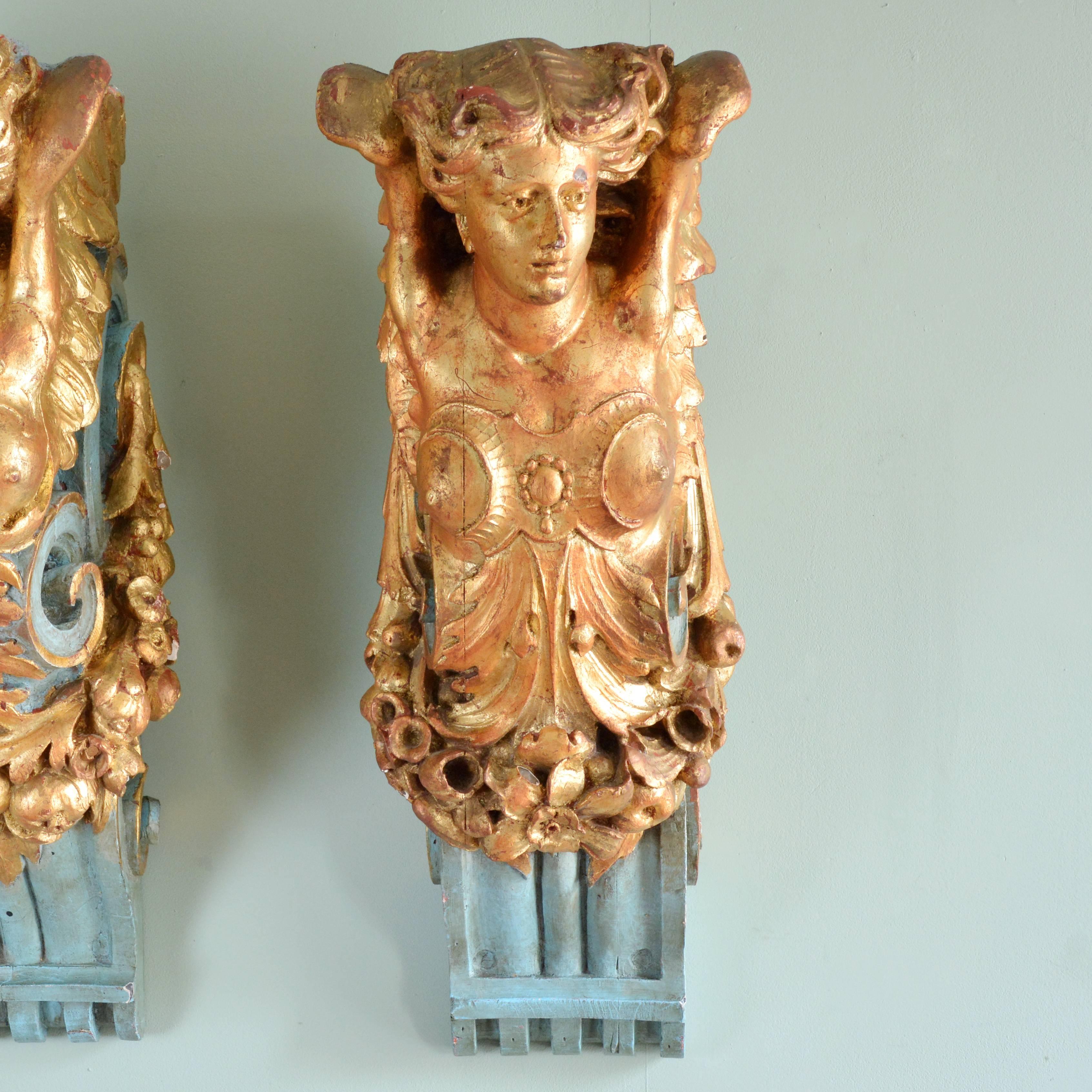 A pair of parcel-gilt corbels, each winged angel with foliate swag terminating in acanthus clasp.  Resin, cast from Victorian originals.

Available to view at Brunswick House, London.

Dimensions:
Width 32 cm
Height 85 cm
Depth 46 cm