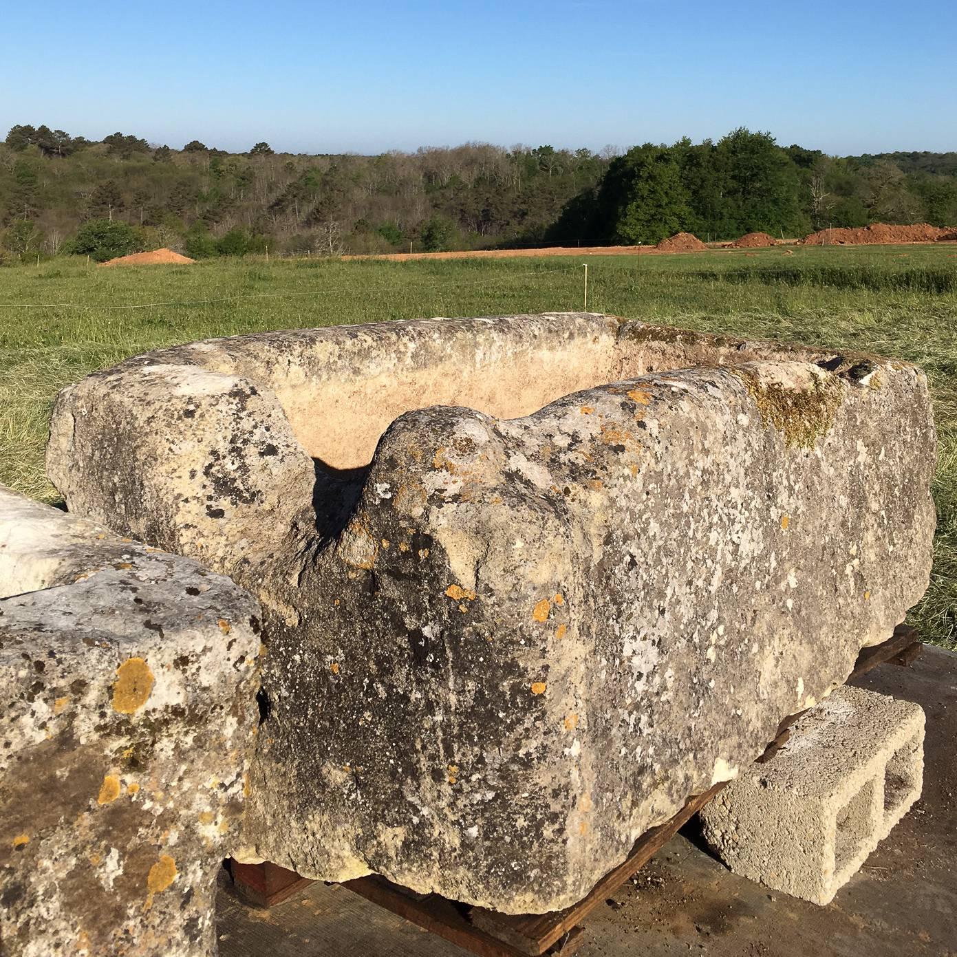 Country Large French Limestone Trough