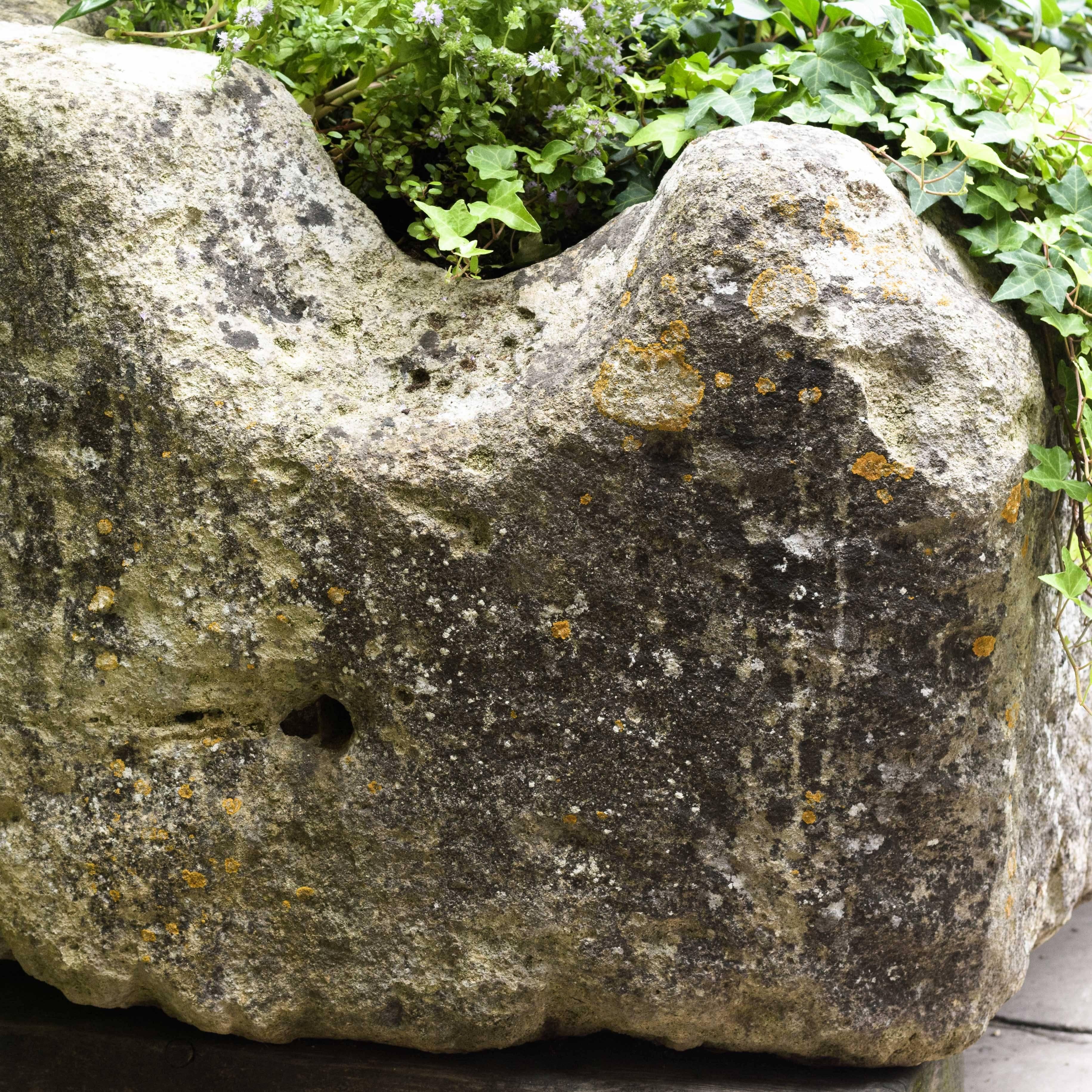 Large French Limestone Trough 2
