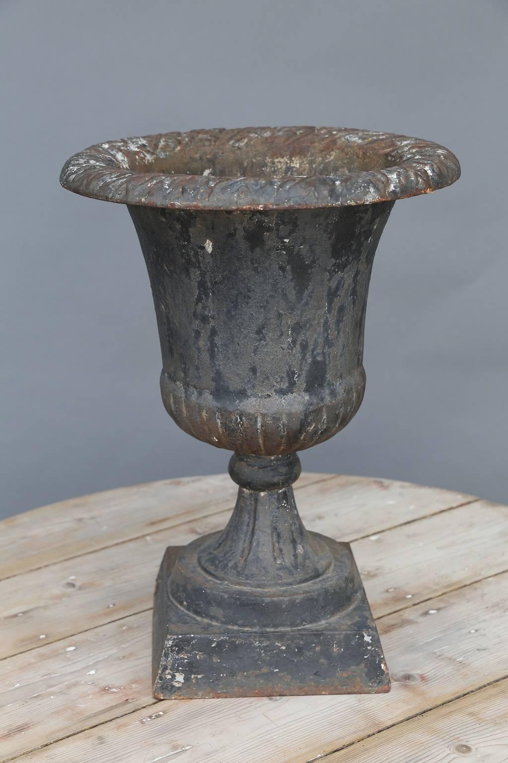 19th century French iron garden urn with remnants of dark blue-gray paint.