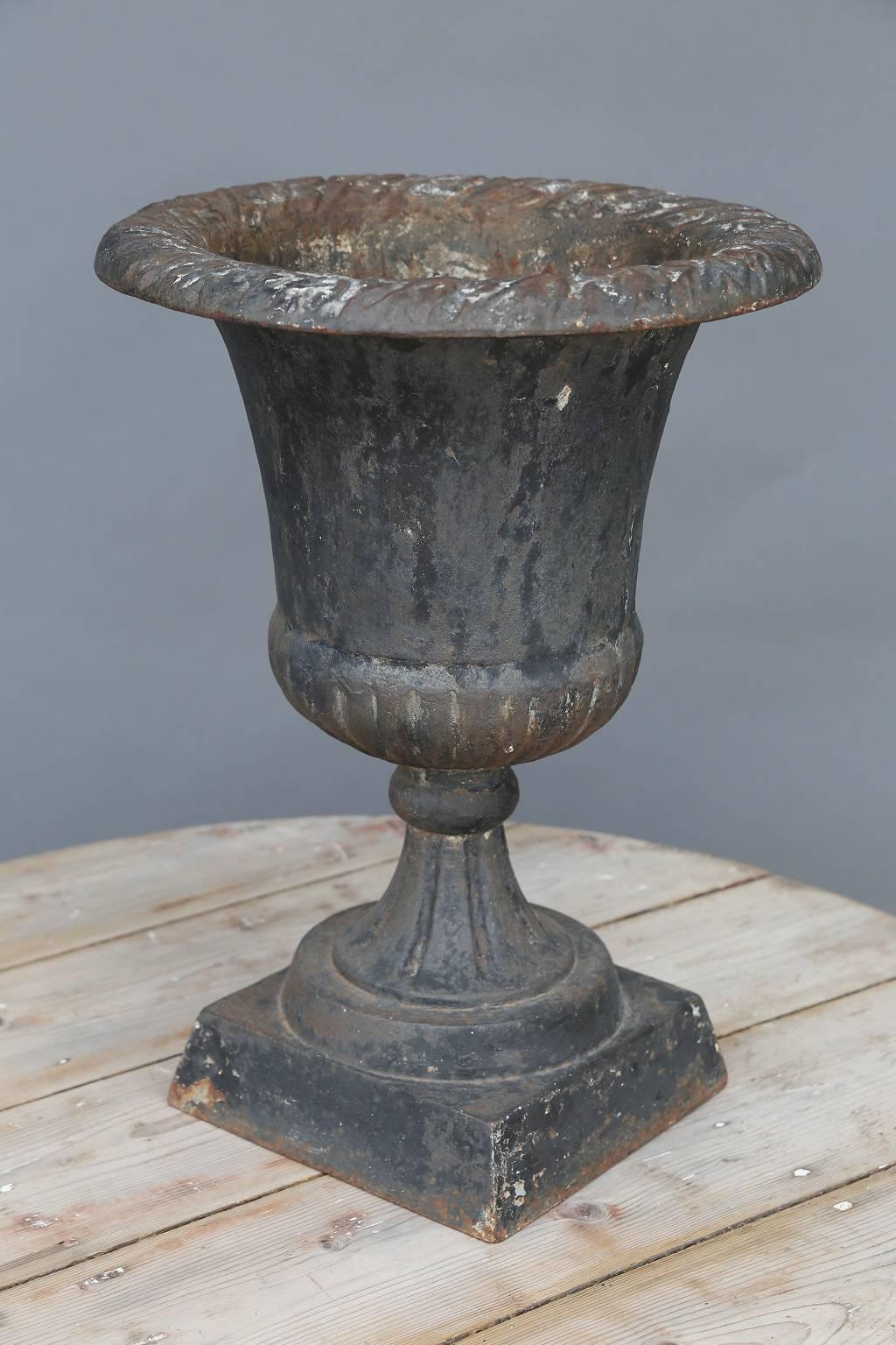 19th Century French Iron Garden Urn 1