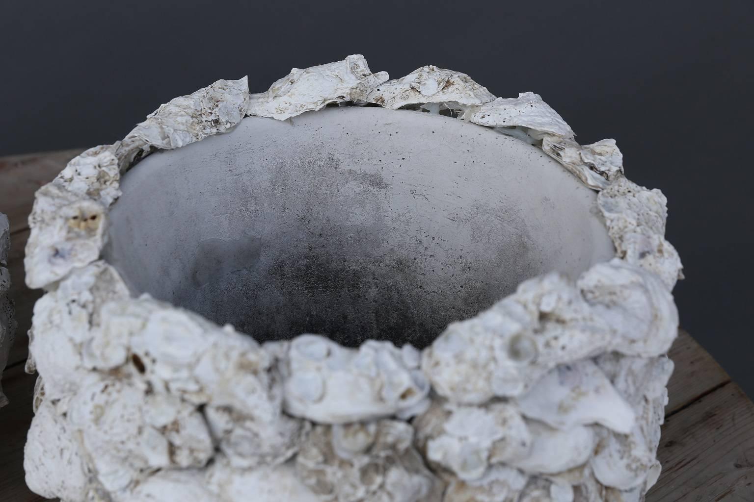 Pair of oyster shell covered concrete cache-pots.
