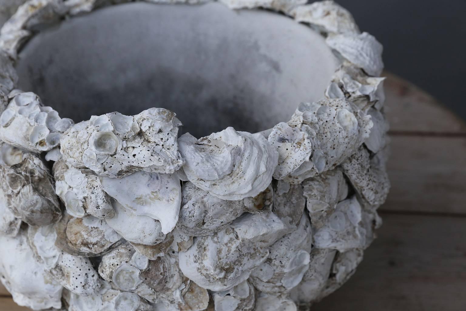 oyster shell planter