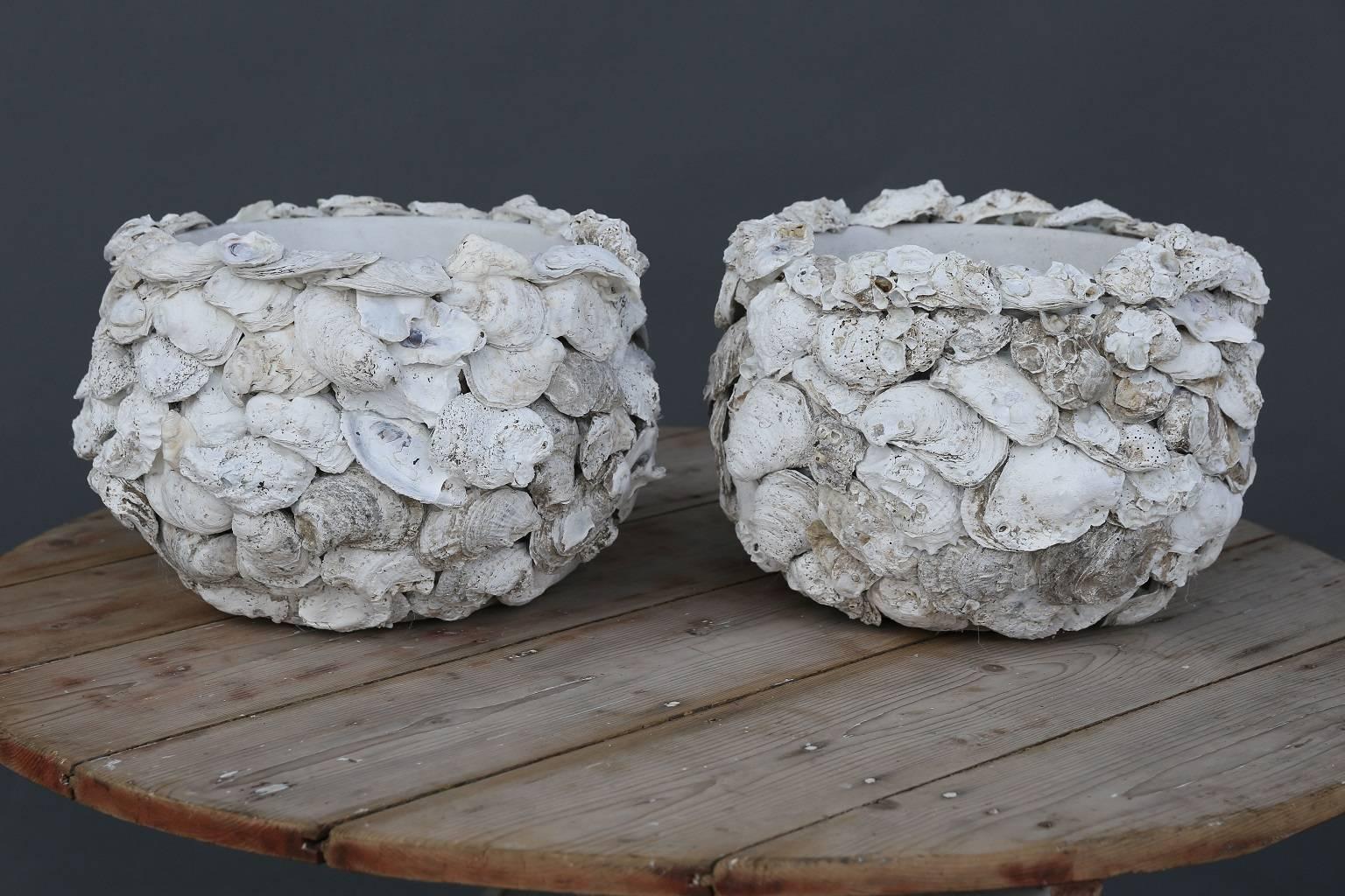 American Pair of Oyster Shell Covered Cache Pots