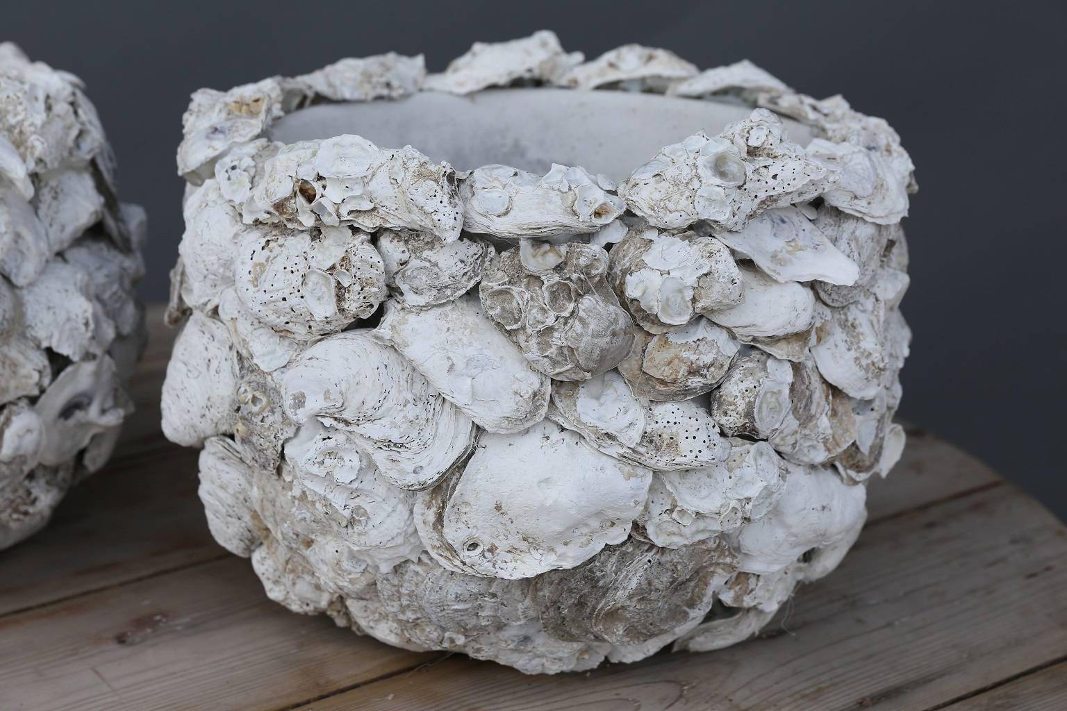 Hand-Crafted Pair of Oyster Shell Covered Cache Pots