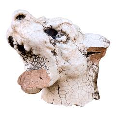 Late 19th Century Glazed Terracotta 'Dog Head' Architectural Fragment 12