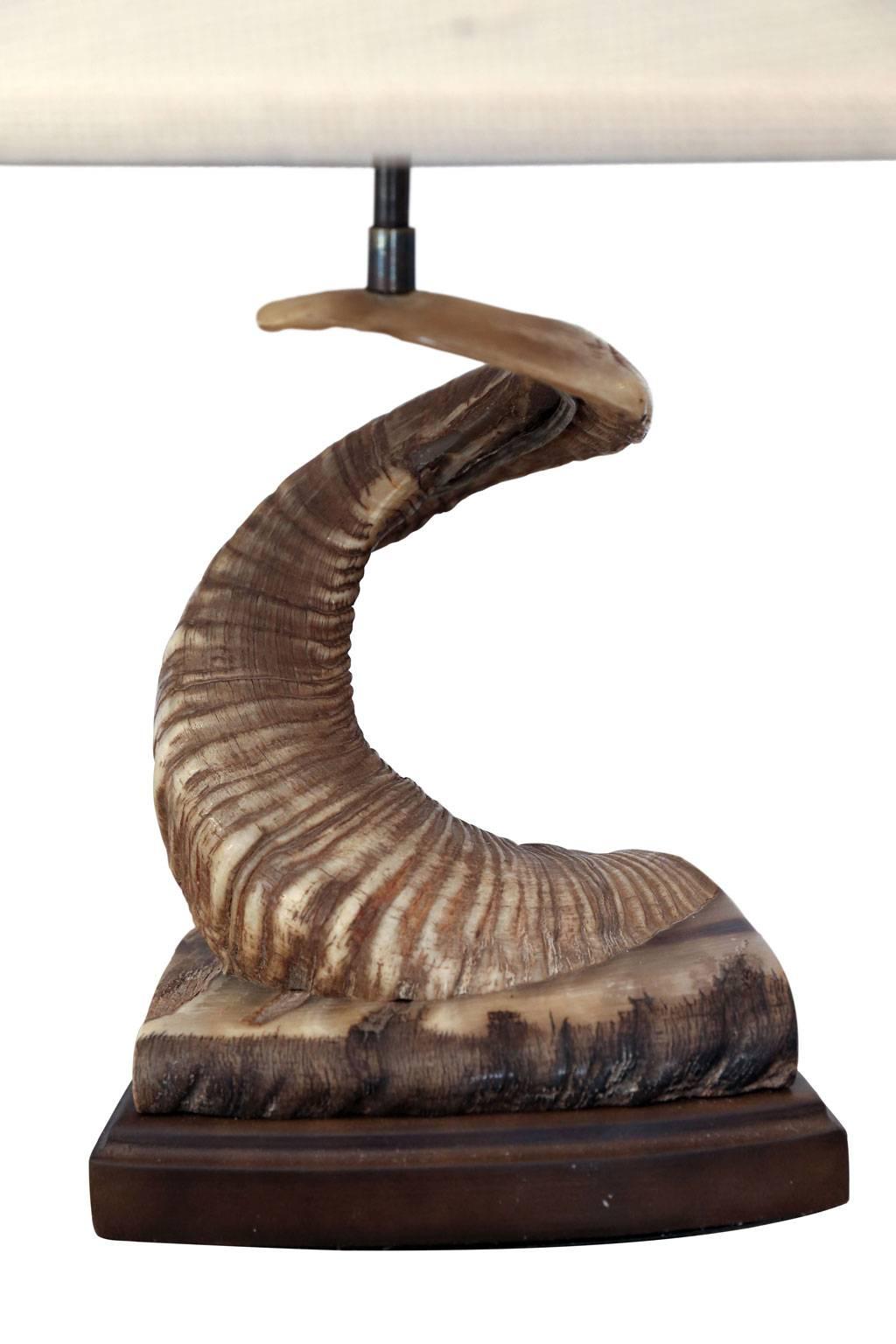 ram horn lamp