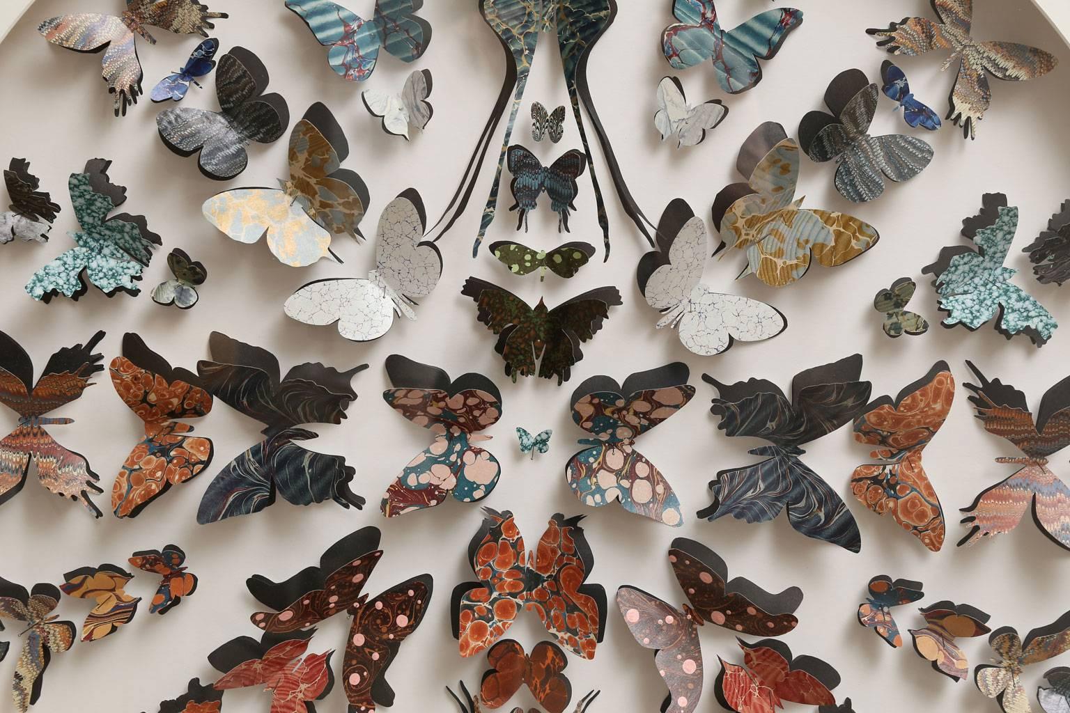 Marbled end paper of various designs and colors, from antique books, cut into butterfly shapes and pinned in a circular formation within a silver and black framed shadowbox.
 