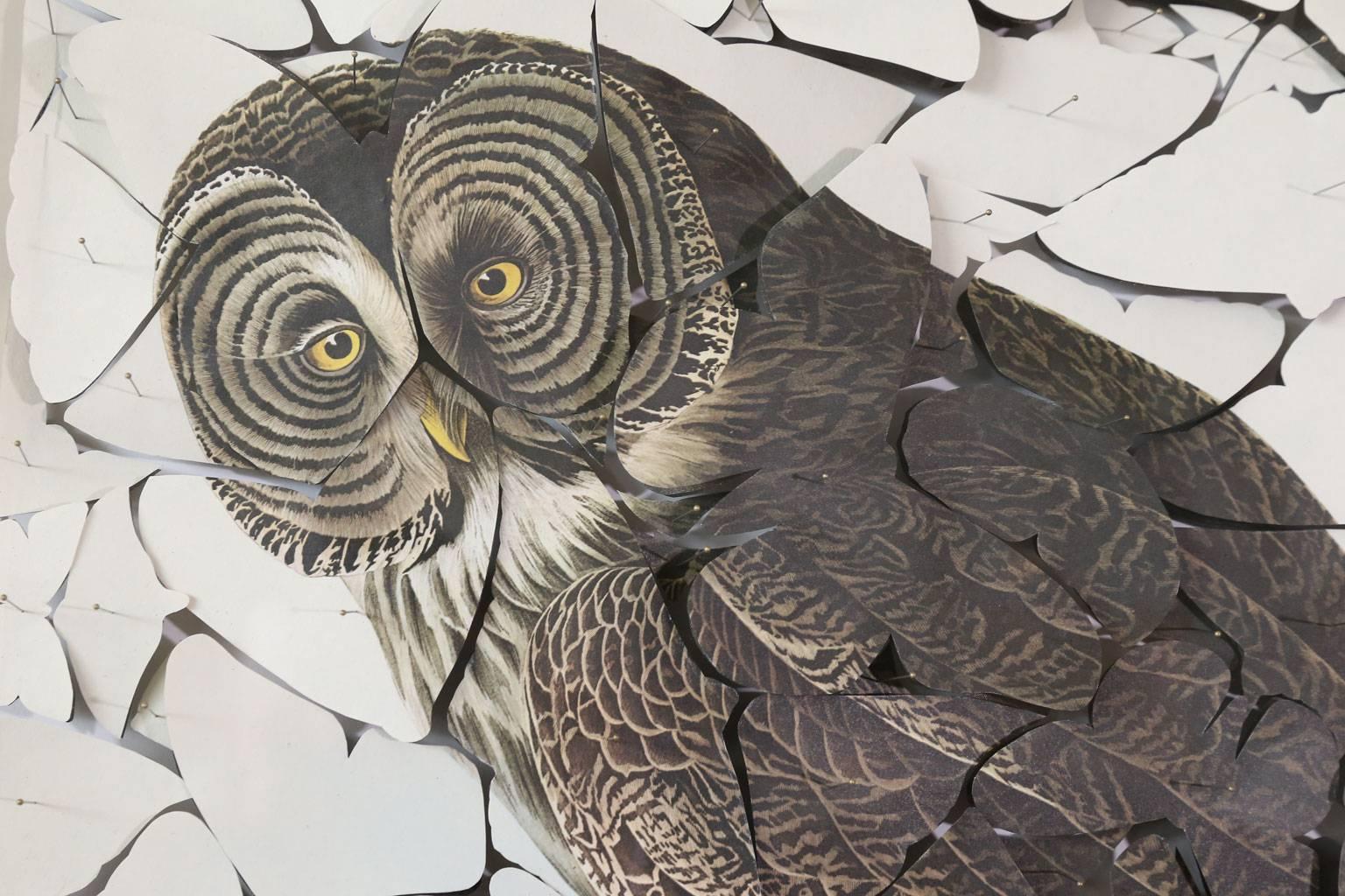 Hand-Crafted Butterfly Box 'Great Cinereous Owl' Print