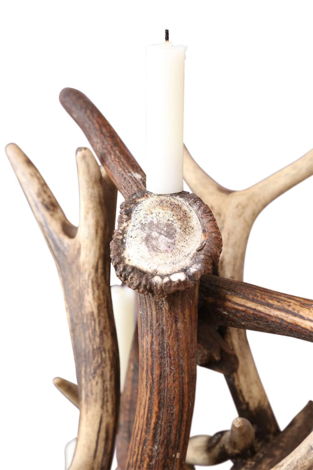 Contemporary Red Stag Antler Tree-Shape Candelabra