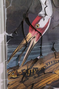 Butterfly Box Whooping Crane Print