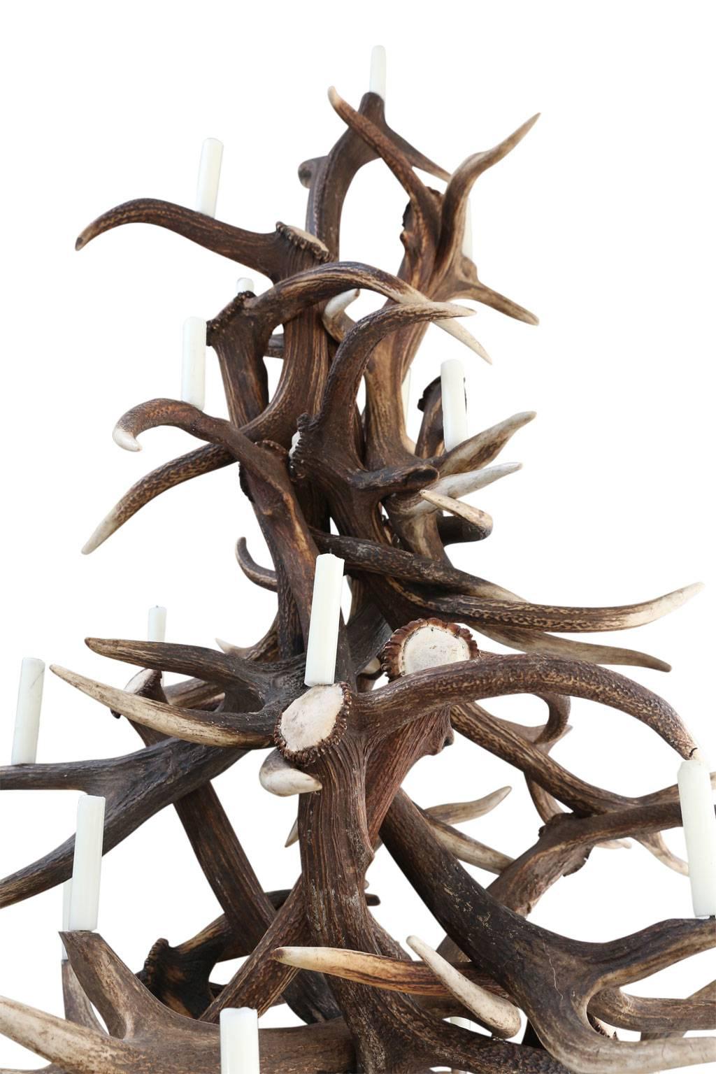 Large tree from naturally shed stag antlers. Tree has metal prickets for candles (can be electrified).