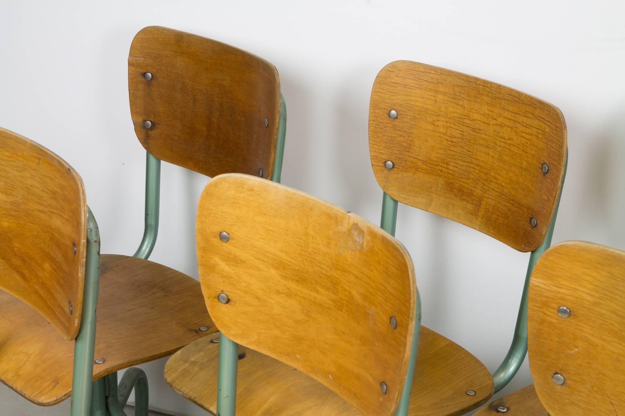 A set of eight Industrial school chairs featuring molded plywood seats and backrests, with teal coated tubular steel legs on casters.