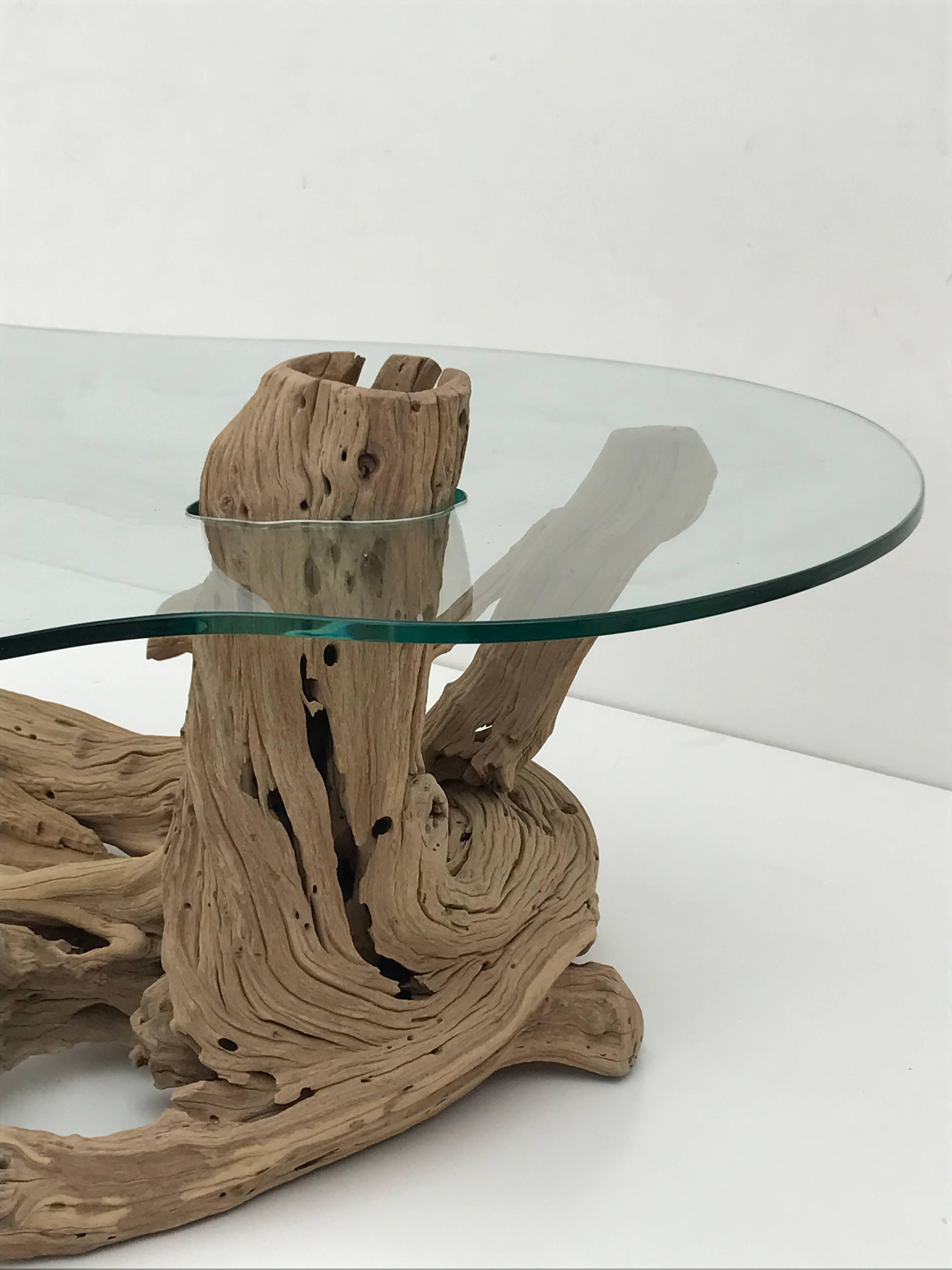 American Free-Form Driftwood Coffee Table