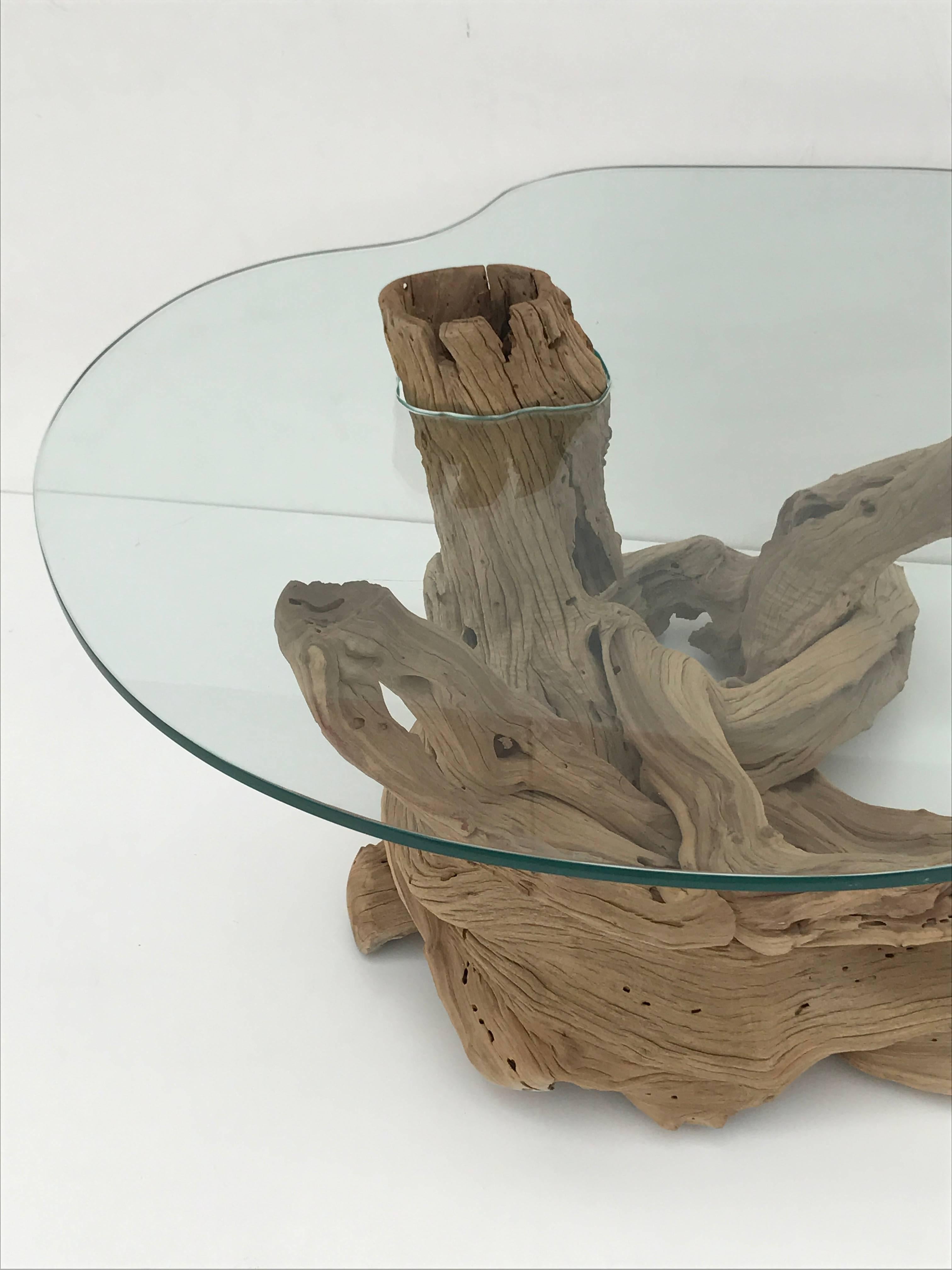Free-Form Driftwood Coffee Table 1