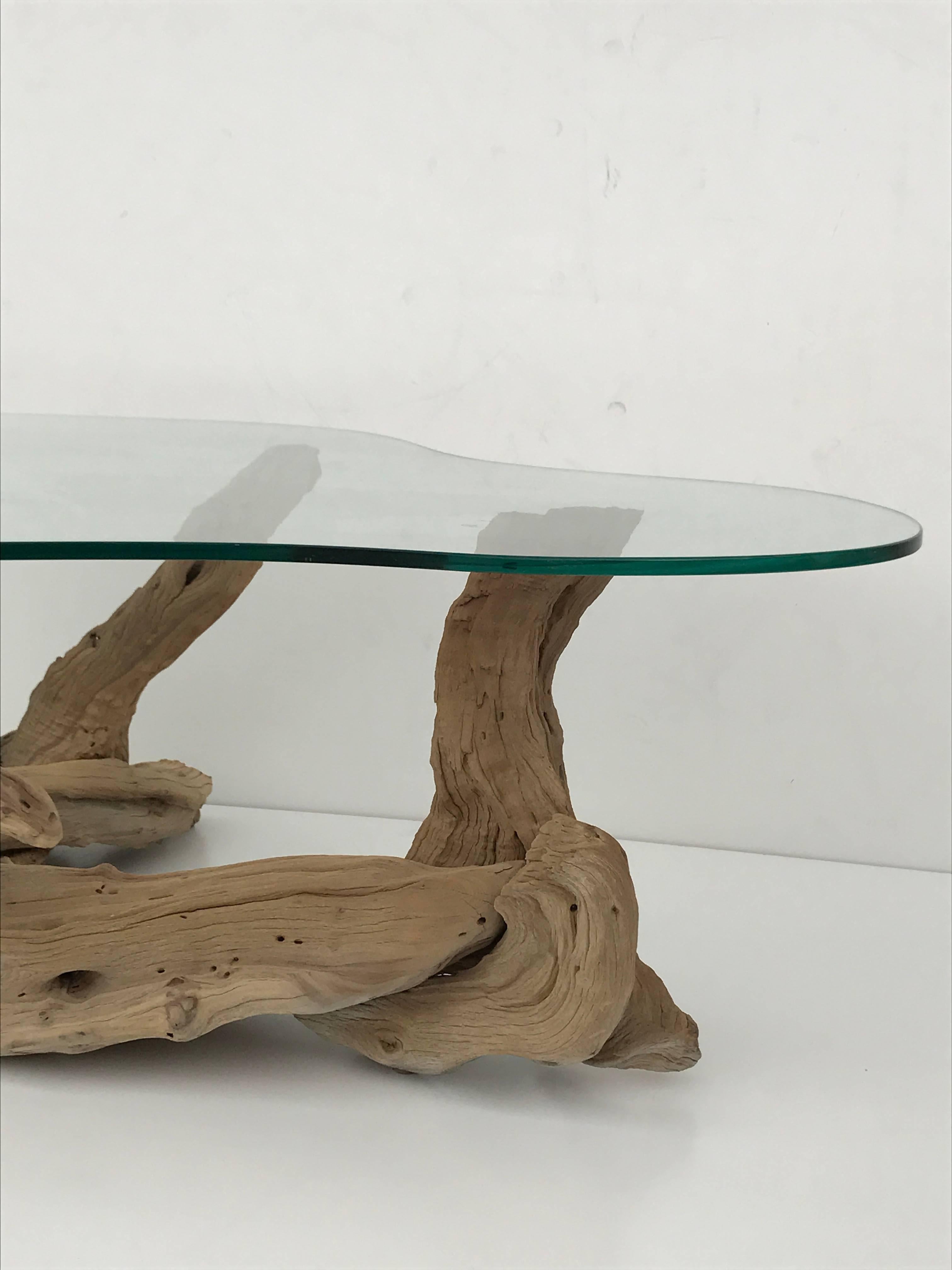 Free-Form Driftwood Coffee Table 2