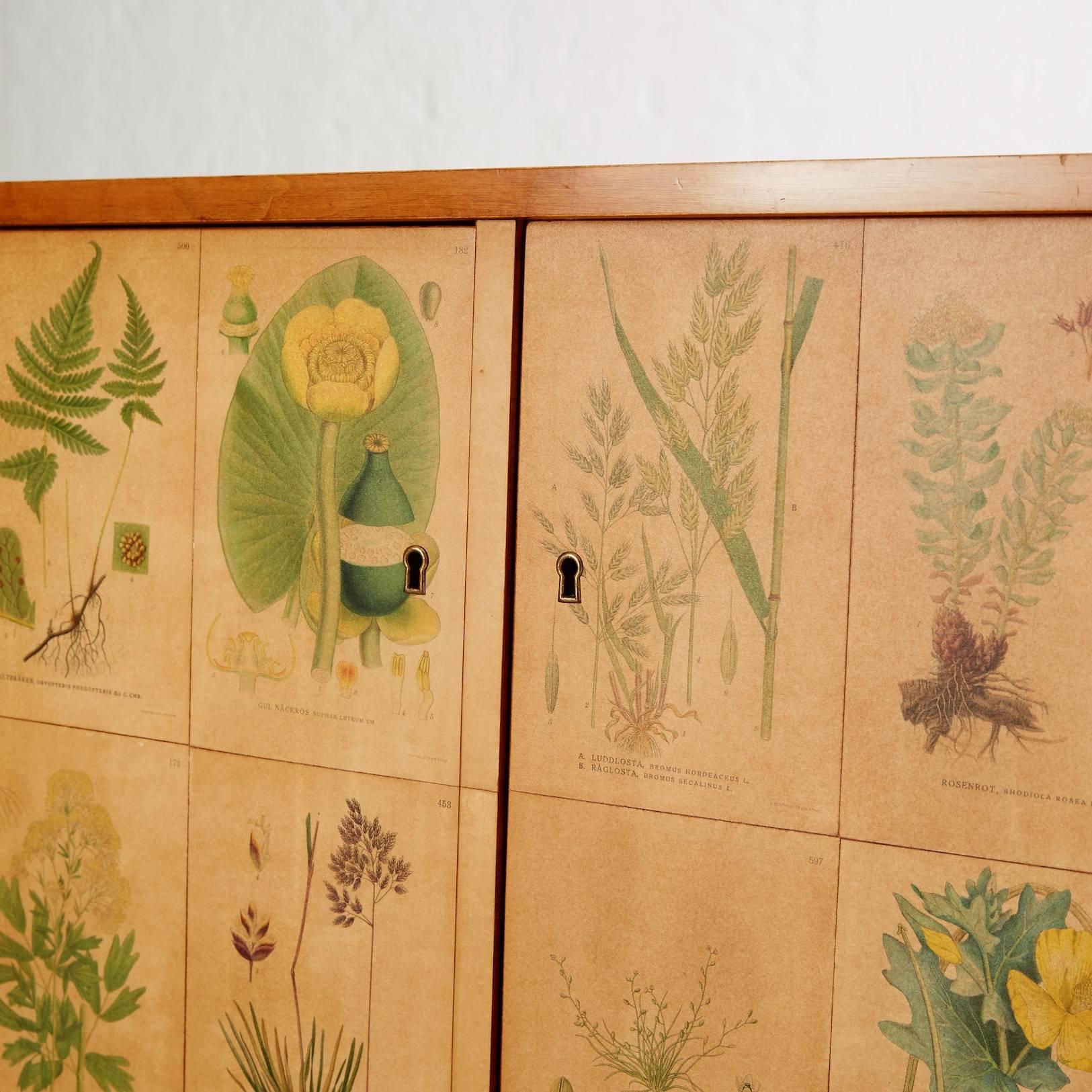 Scandinavian Modern Cabinet with Flora Decor from C.A. Lindman's Nordens Flora