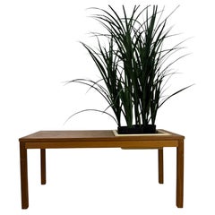 Scandinavian entryway bench with a teak plant holder, 1960s